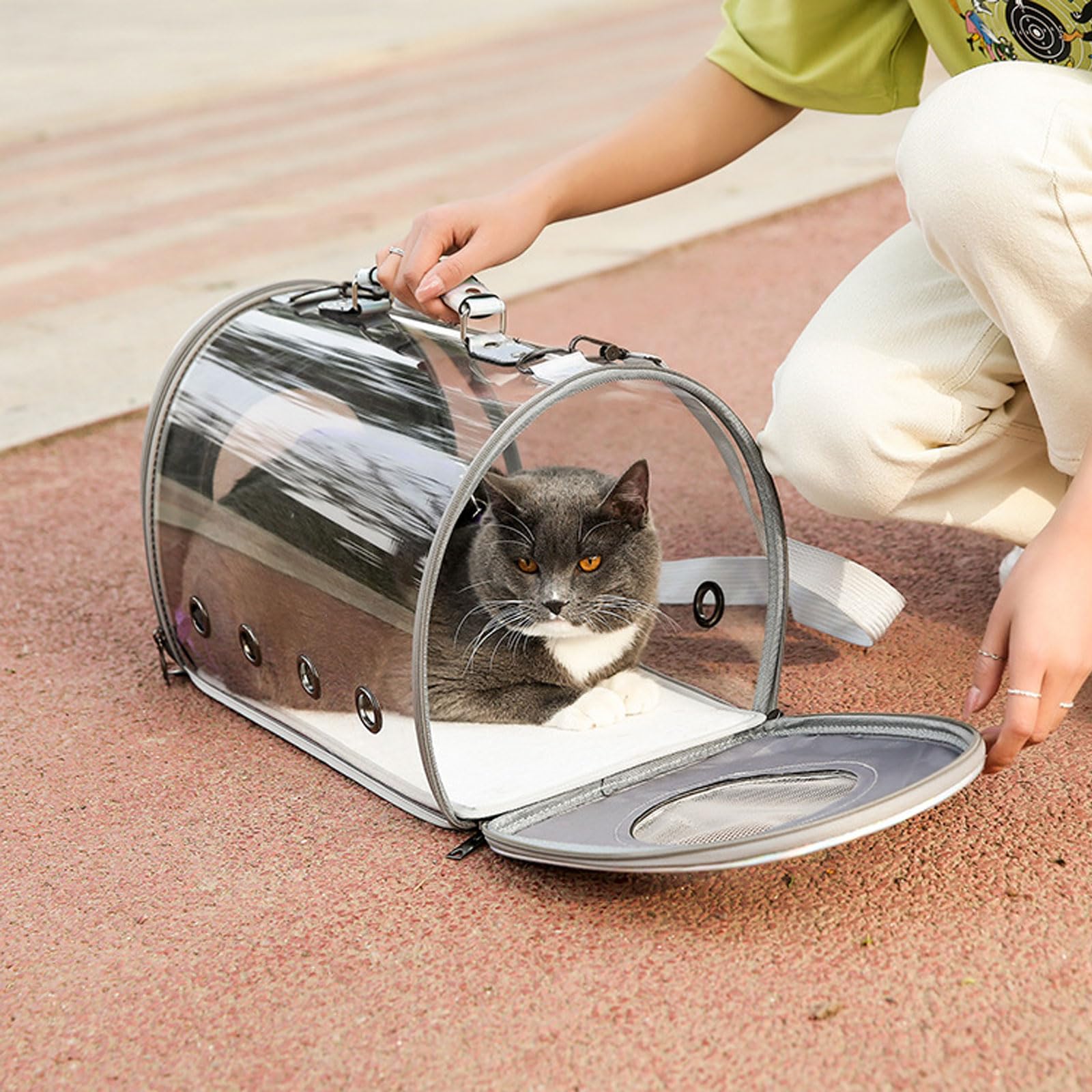 Transportín para Perros, Mochila for Gatos, Perros y Cachorros, Transparente, de PVC, Ideal for Viajes, Senderismo, Ciclismo Actividades al Aire Libre, Rosa, Grande