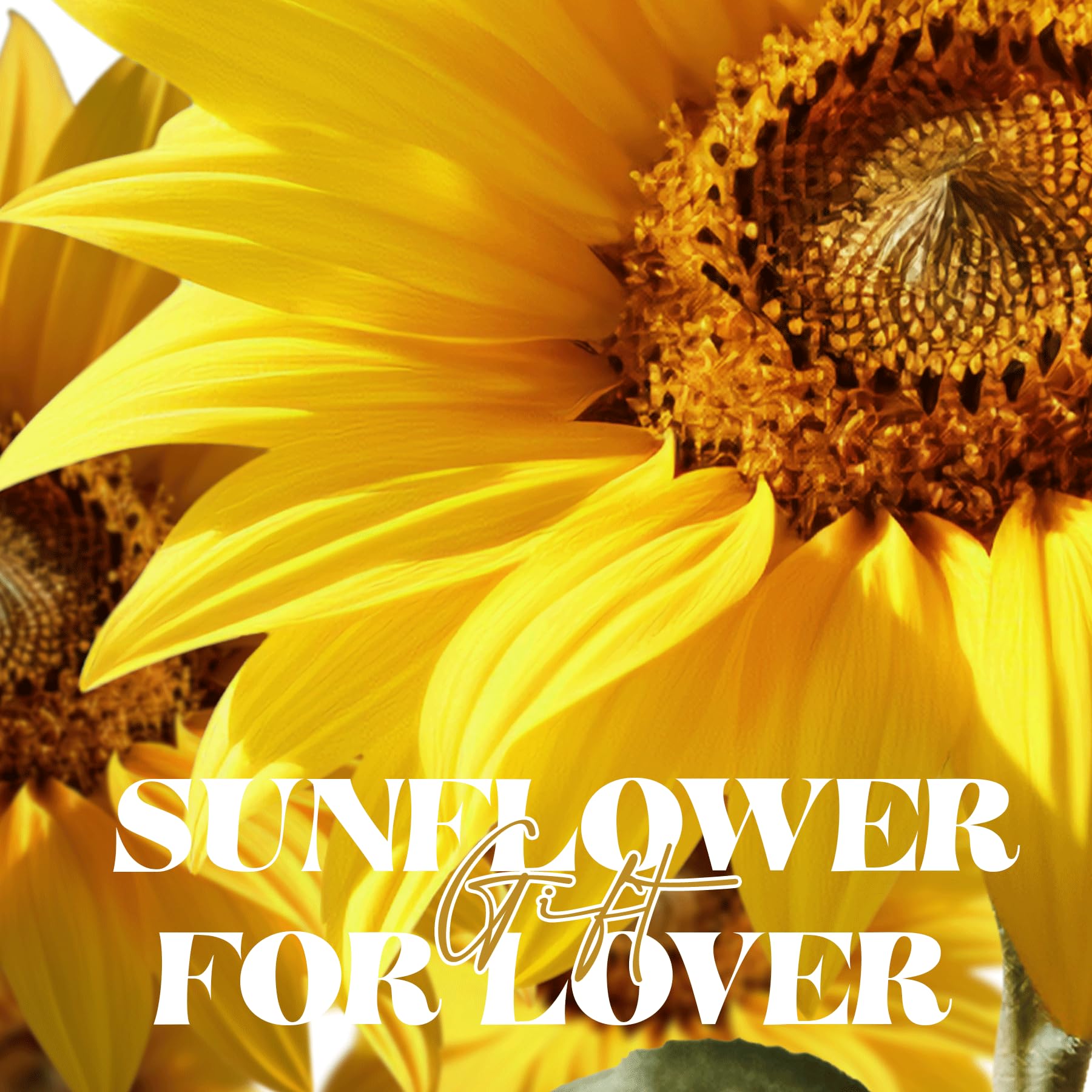 Mothers Day Sunflower Gifts for Mom Birthday Gift for Women, LED Glass Dome Preserved Eternal Flower Home Decor, for Mom Grandma Wife