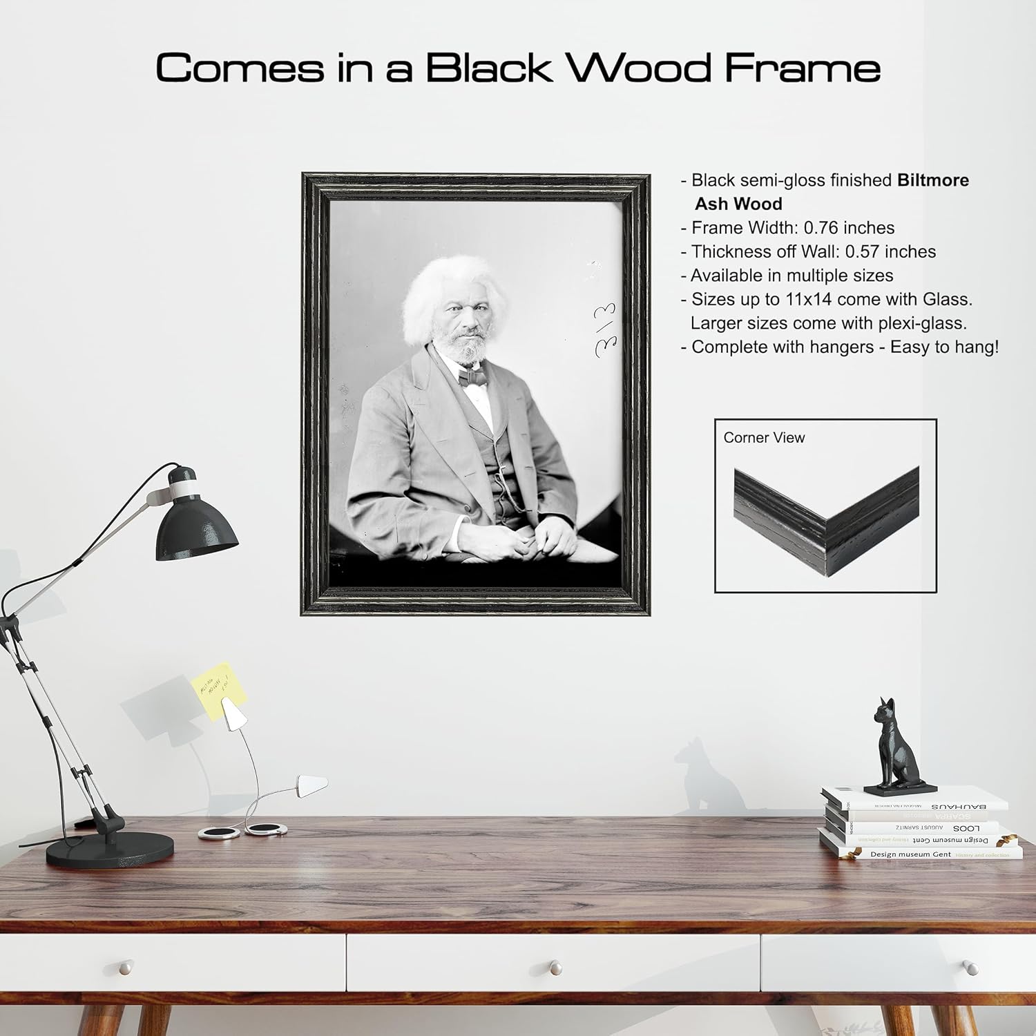 Frederick Douglass Photograph in a Black Frame - Historical Artwork from 1865 - (5" x 7") - Gloss