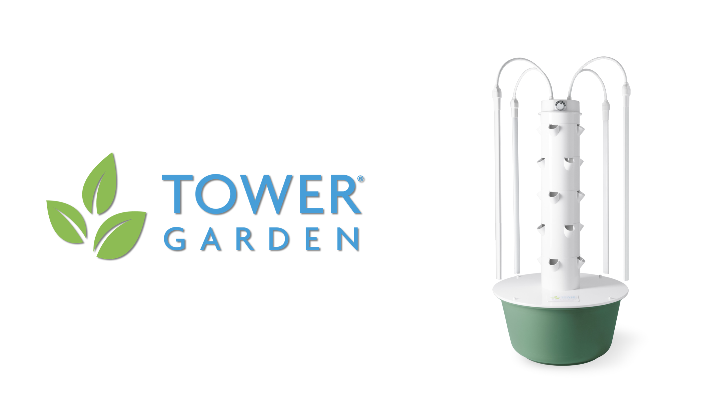 バスヒーター ホワイト・グリーン Wilson Pickle Pro Mens Pickleball Shoe - White/Bosphorus Green