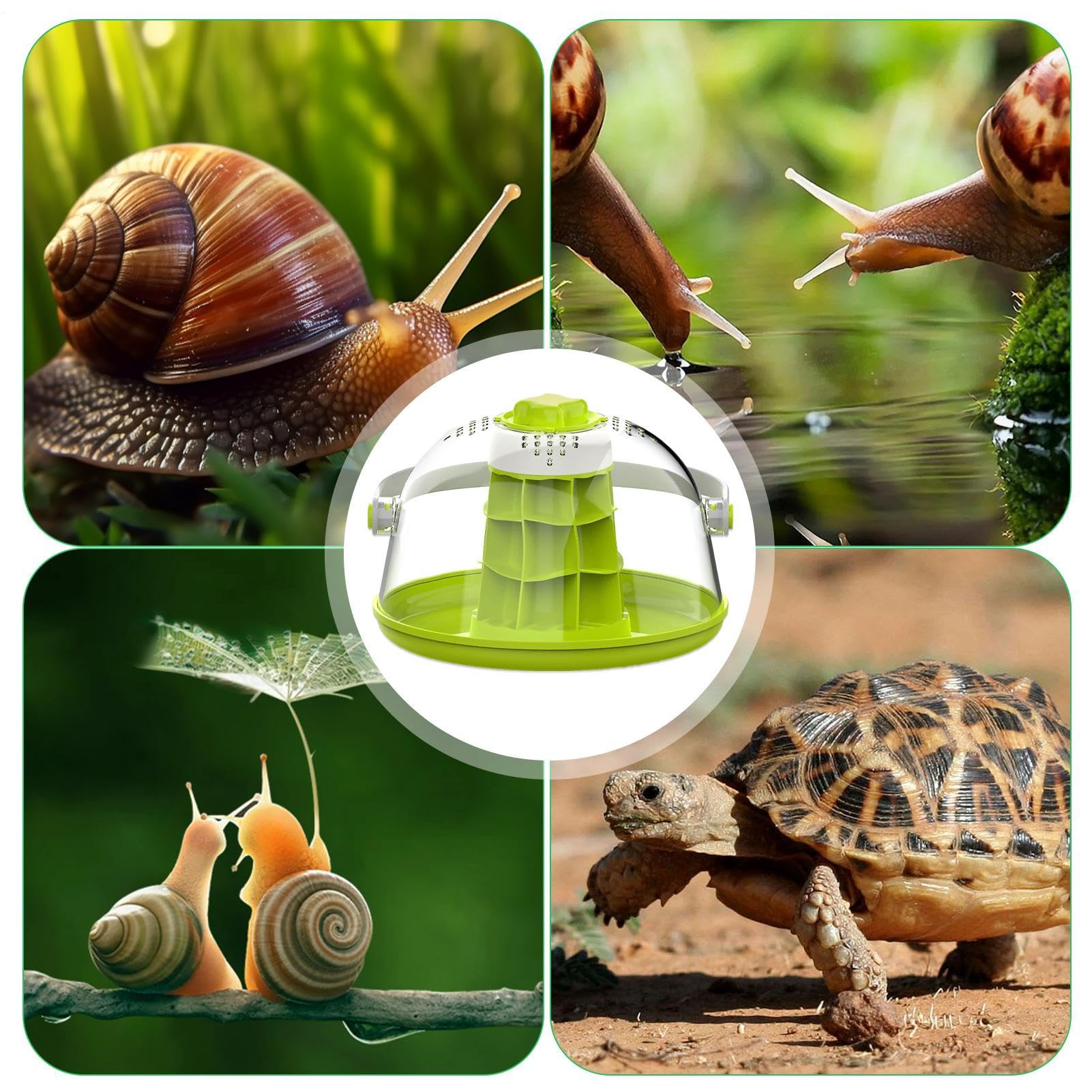 Terrario Caracoles, Hábitat De Reptiles De Terrario, Caja De Alimentación De Reptiles, Transpirable Miini Pet House Para Caracoles,