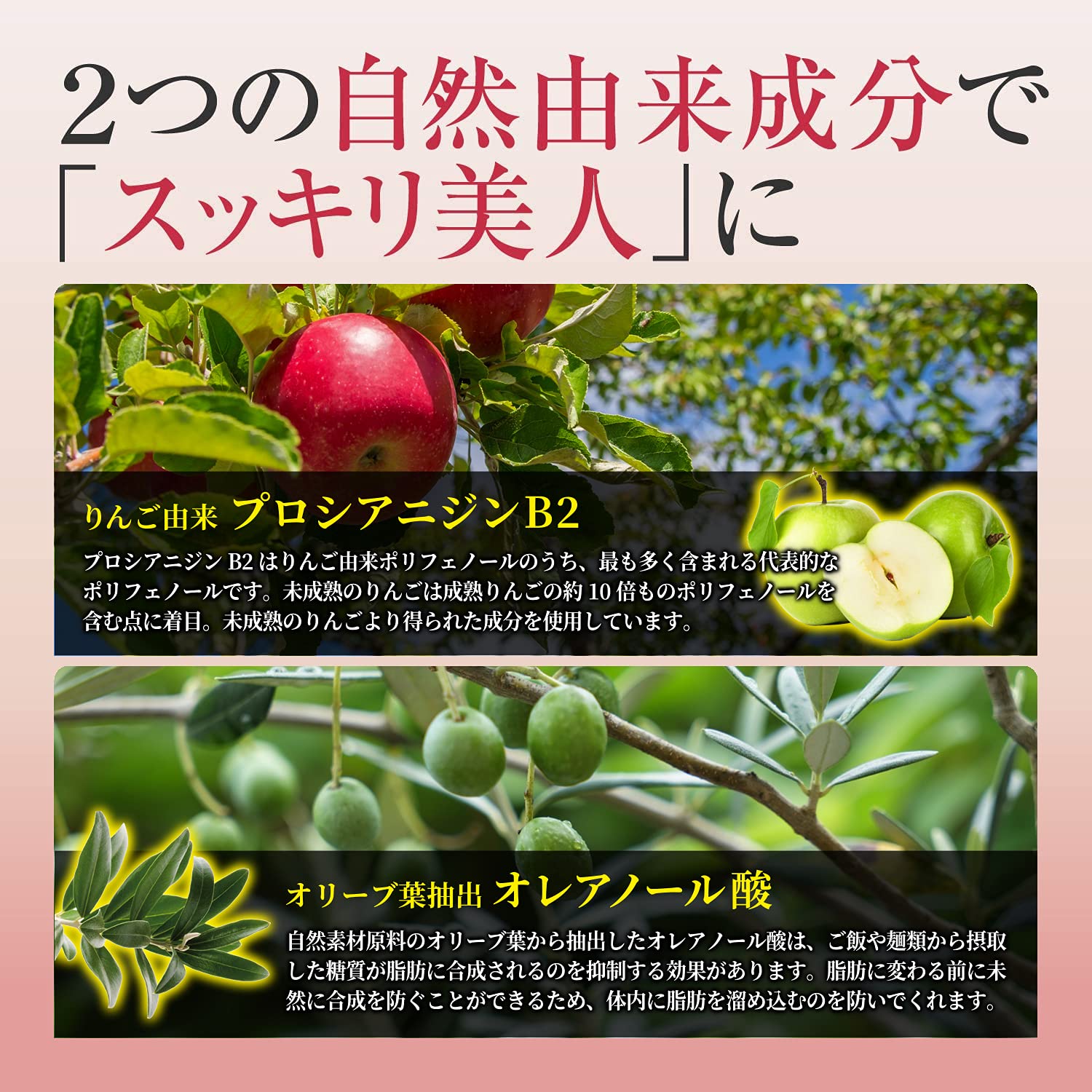 プロシアエイト プロシア８ Amazon.co.jp: プロシア8(プロシアエイト) ダイエットサプリ りんご