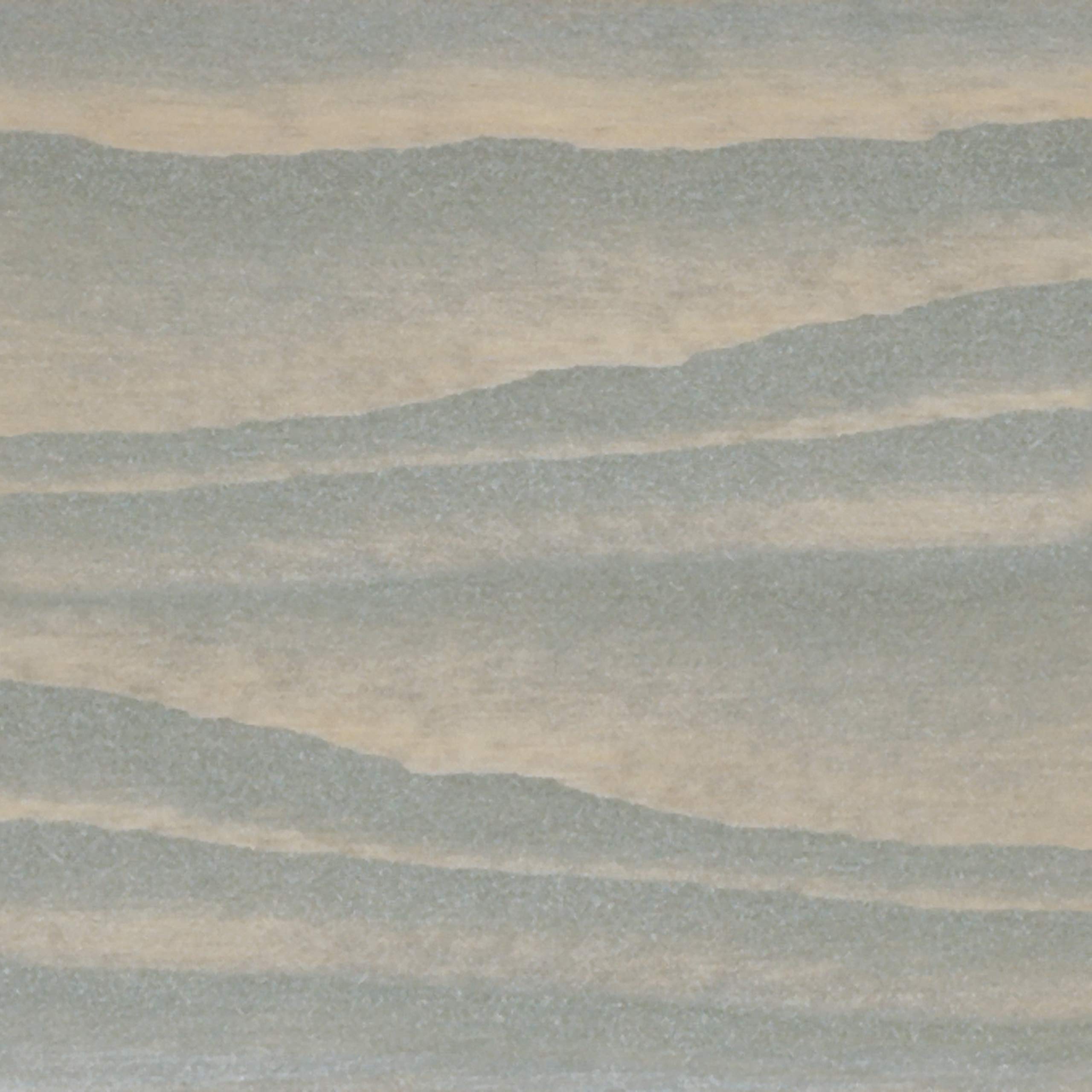 LIBERON 101329 Tinte de Efecto, Madera, Gris