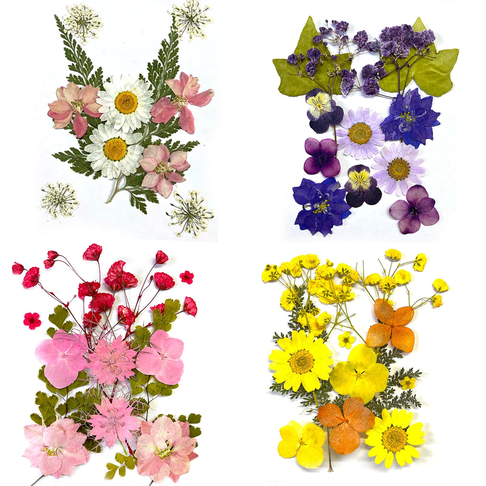 60 Pcs Colorful Dried Flowers for Crafts, Real Natural Pressed Dried Flowers for Resin Decoration DIY Jewelry Making Nail Art Phone Case Scrapbook Crafts