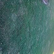 Amazon.com : Drexel MSMA 6 Plus HERBICIDE (2.5 Gallon JUG ...