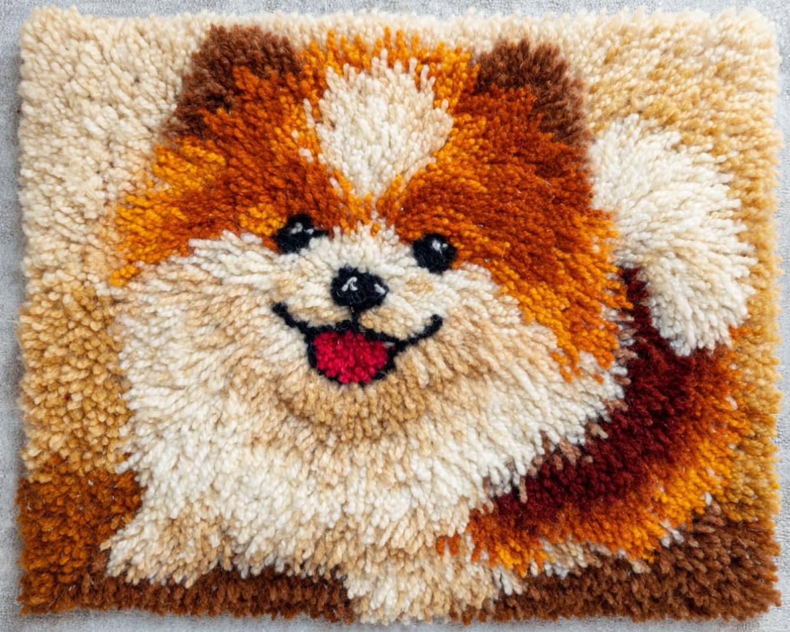 Wallphantom Latch Hook Rug Kits,Happy Pomeranian,DIY Crochet Rug Making Kit for Adults Kids,3D Cross Stitch Carpet Embroidery Needlework Crocheting for Home Decor,60x90cm