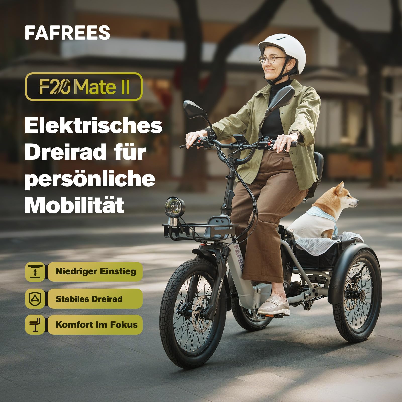 Fafrees F20 Mate II Klappbares Elektro Dreirad | Unisex für Damen & Herren | 250W Motor, 48V 21Ah Akku, 180kg Traglast, Hydraulische Bremsen – Ideal für Stadt & Senioren