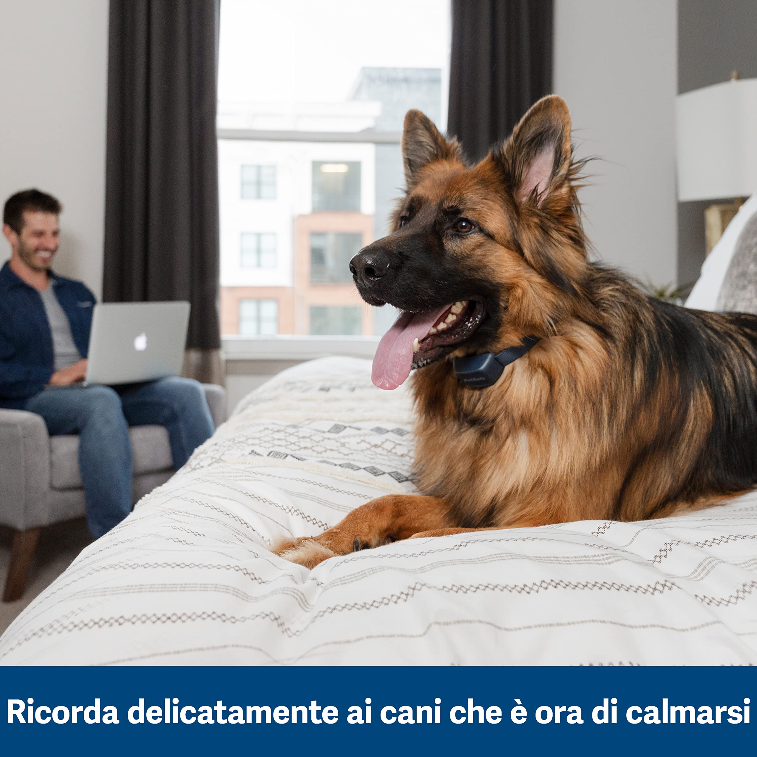 PetSafe - Collare Udibile Antiabbaio per Cani, 10 Livelli di Stimolazione Sicura, Ricaricabile e Impermeabile