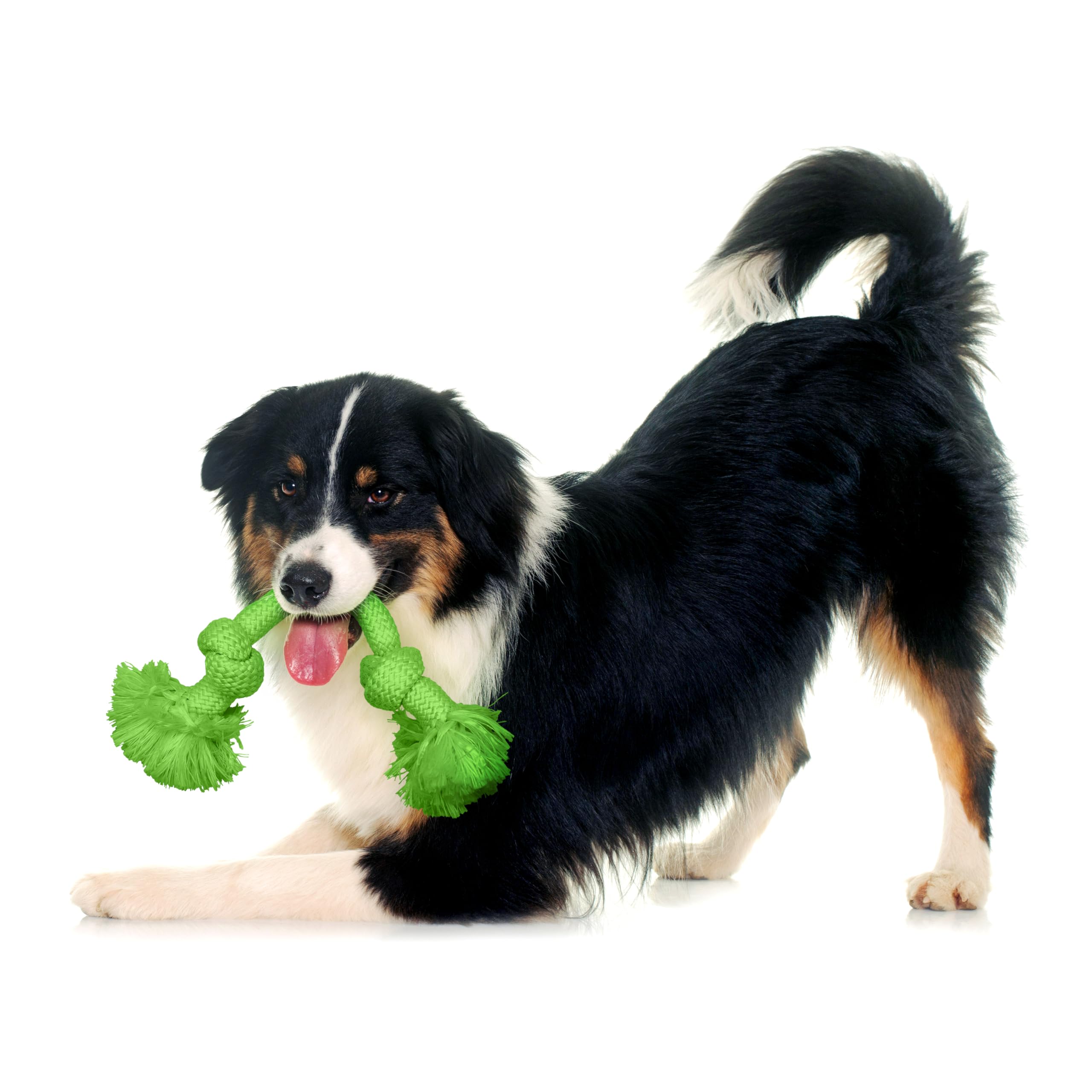 Playology Hundespielzeug | Dri-Tech Tauziehen Hundespielzeug für harte Kauer | Süßkartoffel-Duft, mittelgroßes Zerrseil für Hunde