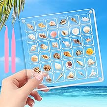 Acrylic Magnetic Shell Display Box, Clear Acrylic Gemstone Beads Storage Box, Organizer Box, Storage Box for Shells,