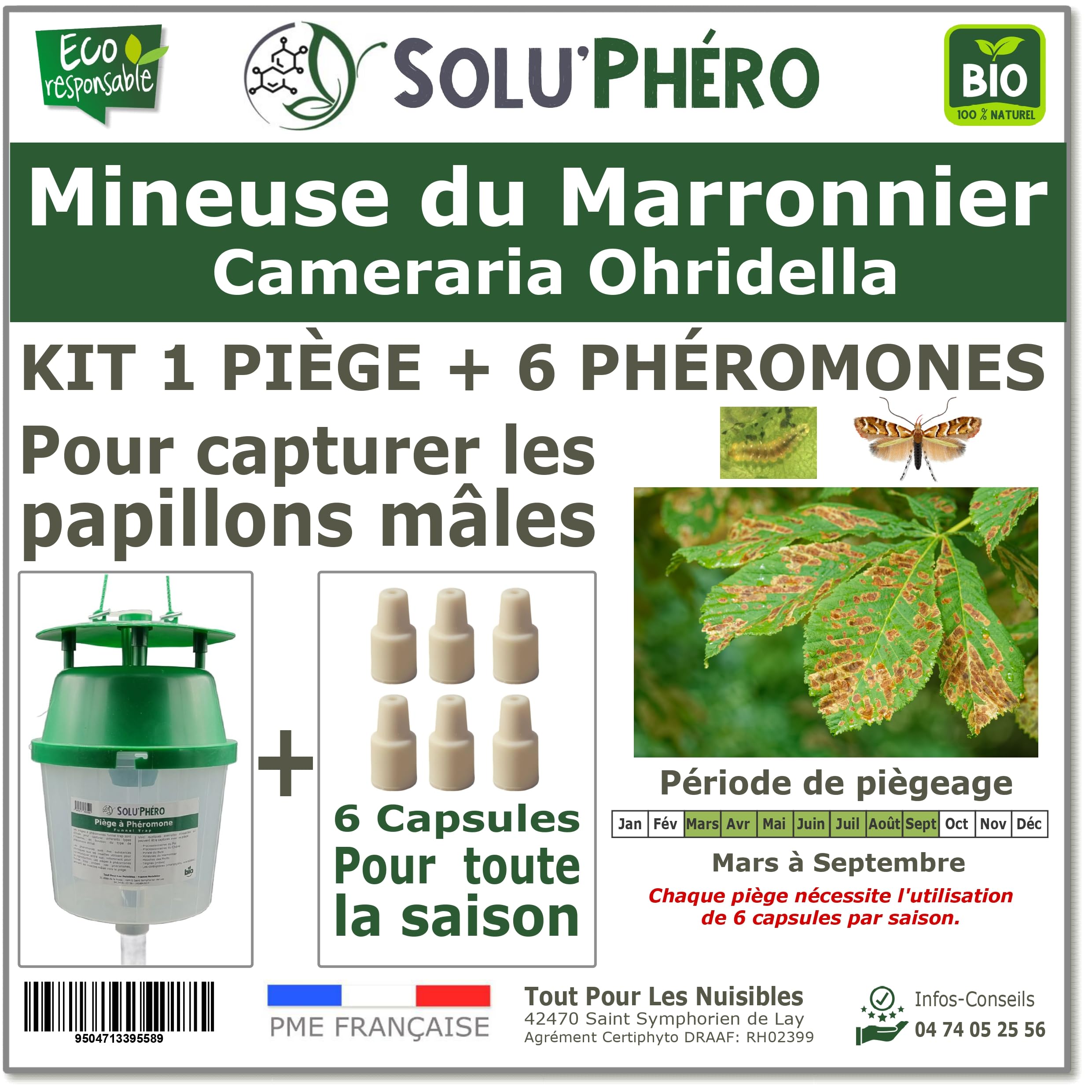 SOLUPHERO - Kit 1 Piège Funnel + 6 Phéromones Mineuse Marronnier Bio - Efficacité par Capsule de 4 à 6 Semaines - Phéromone Écologique de Contrôle de Cameraria Ohridella