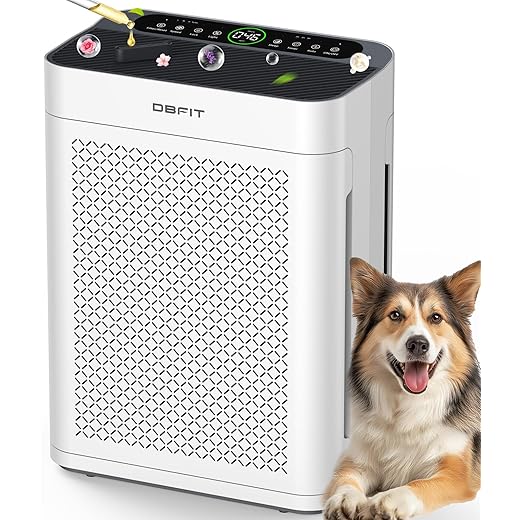 Air Purifiers for Home Large Room up to 3000sq.ft, DBFIT HEPA Double-Sided Air Purifier with Washable Filter, PM 2.5 Display Air Quality Sensor, Air Cleaner for Bedroom, Dorm room, Pets, Office, AP300