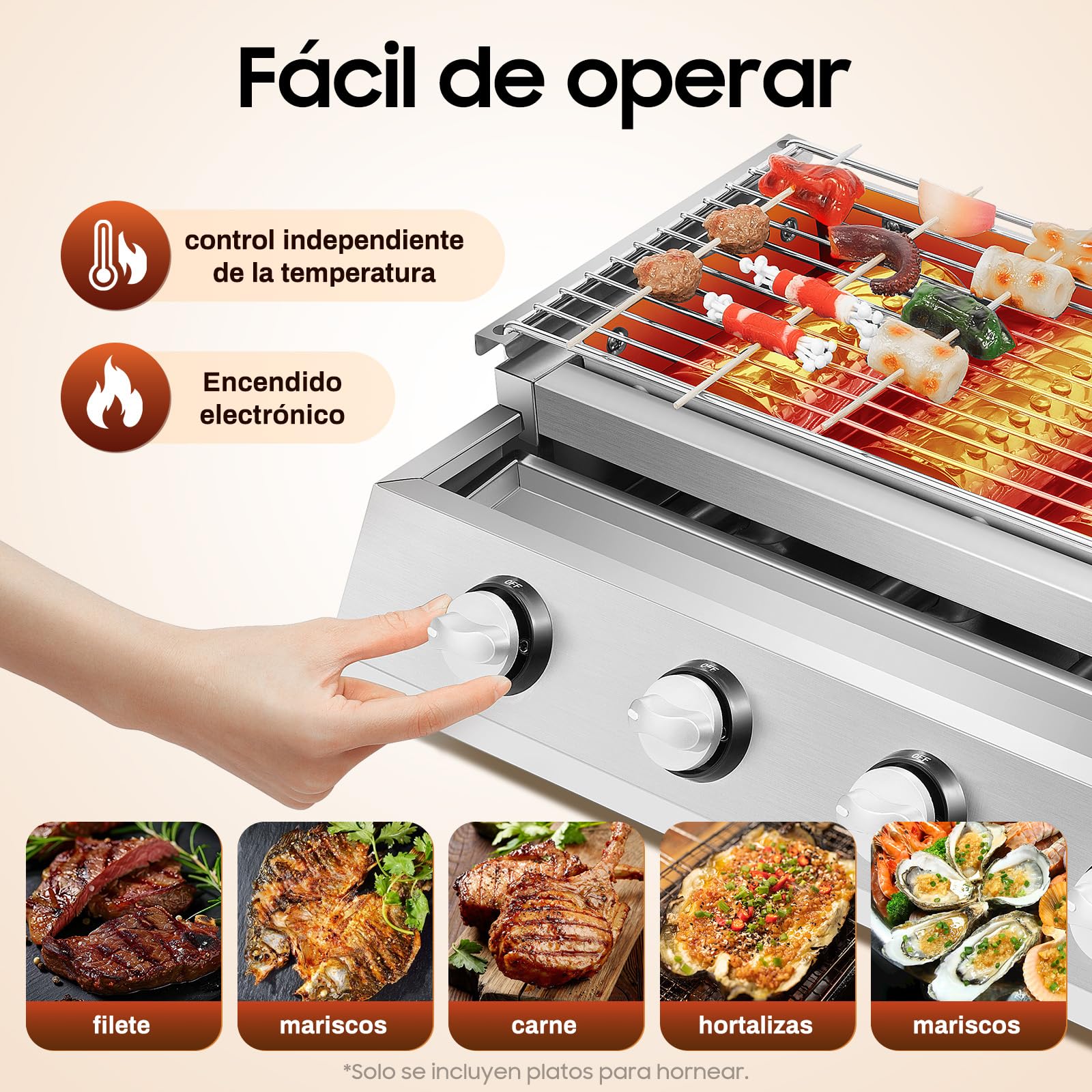 Barbecue a gas GPL in acciaio inox a 4 fuochi, Gasbräter, Griglia professionale da tavolo per gastro ed esterni, Petrol BBQ Grill con costruzione in acciaio inox di alta qualità