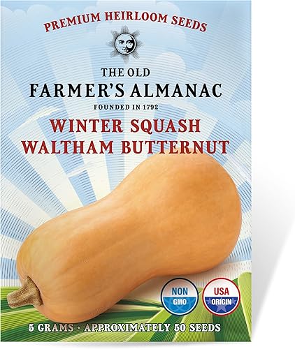 The Old Farmer's Almanac Heirloom Winter Squash Seeds (Waltham Butternut) - Aproximadamente 40 semillas - Sin OMG, polinizado abierto, origen