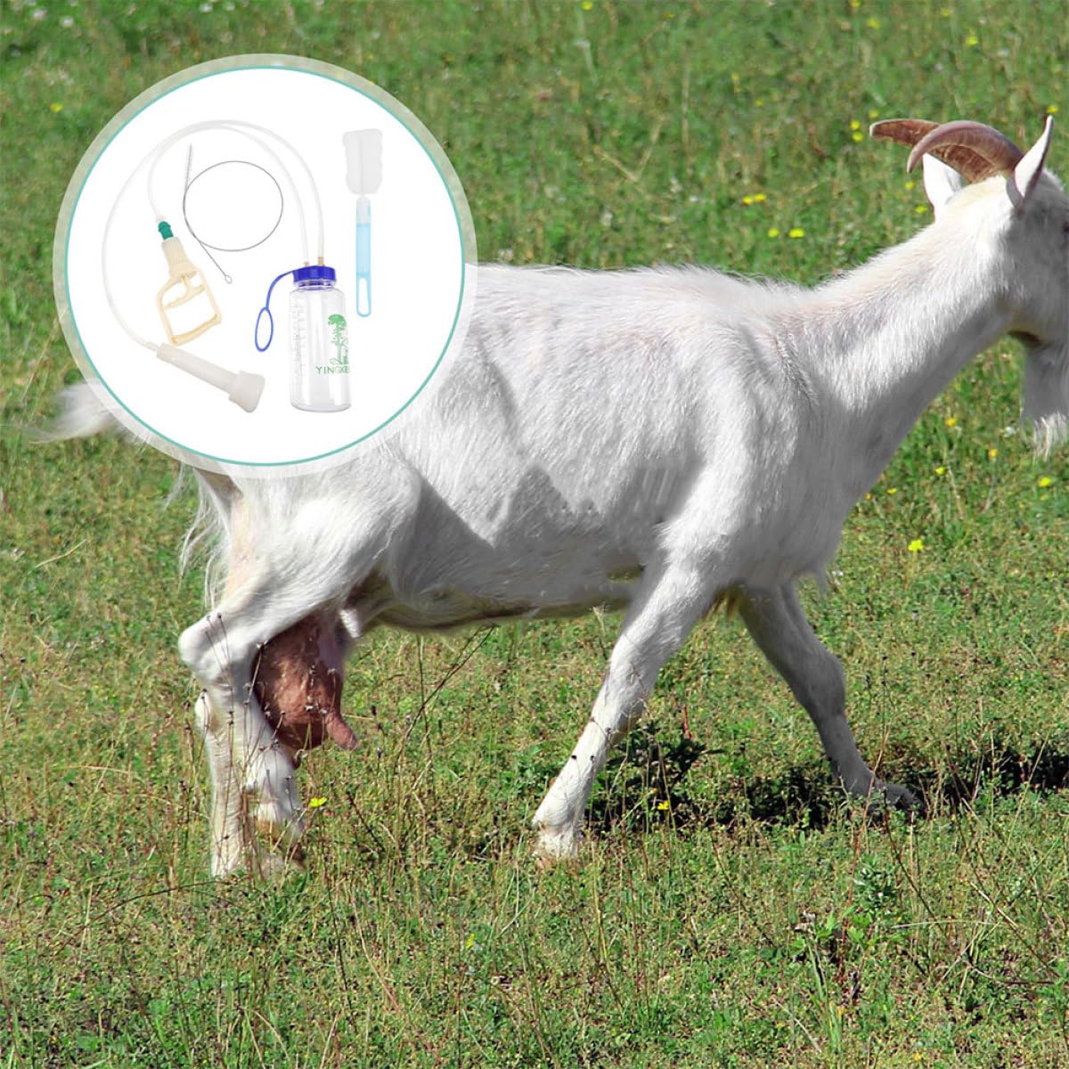 VANZACK Mungitrice Portatile Manuale Per Pecore e Mucche Completo Bottiglia Pp Trasparente Resistente e Leggera Facile Da Pulire e Trasportare Per Piccole Aziende Agricole o Uso Domestico