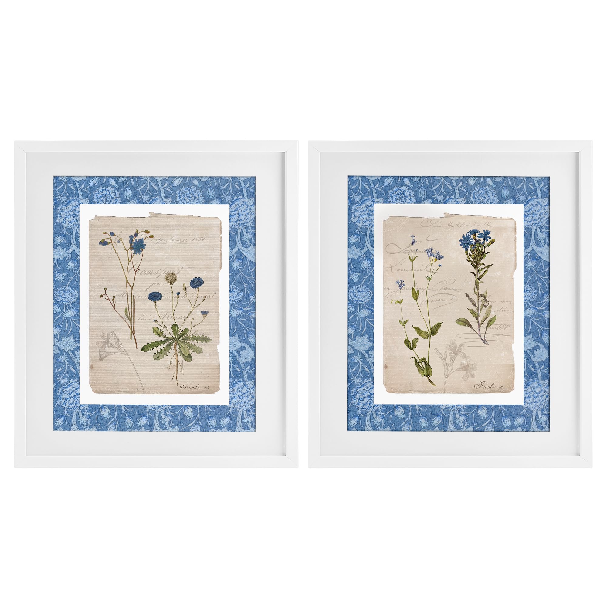 'Blue Botanical Herbs'| 2pc Framed Print Under Glass Set