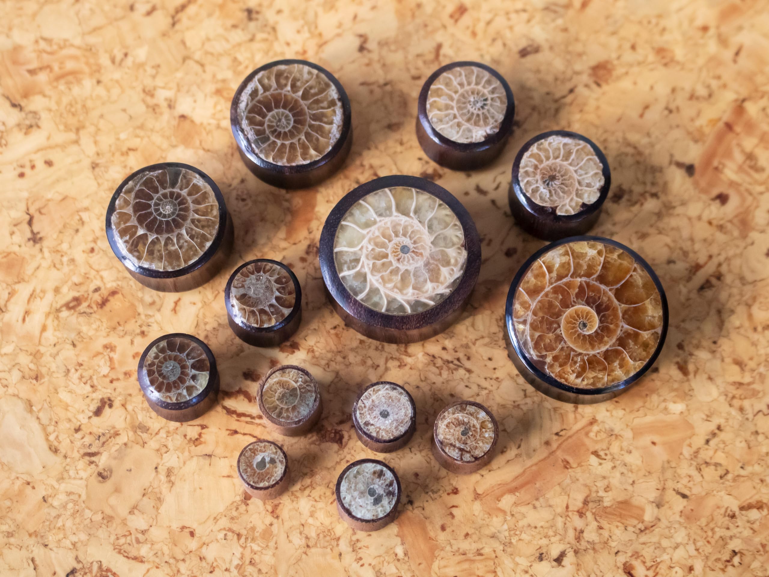 Fly Style Piercing Ohr Tunnel Plug - Ohr Piercings - Ammoniten Earplug Holz Horn