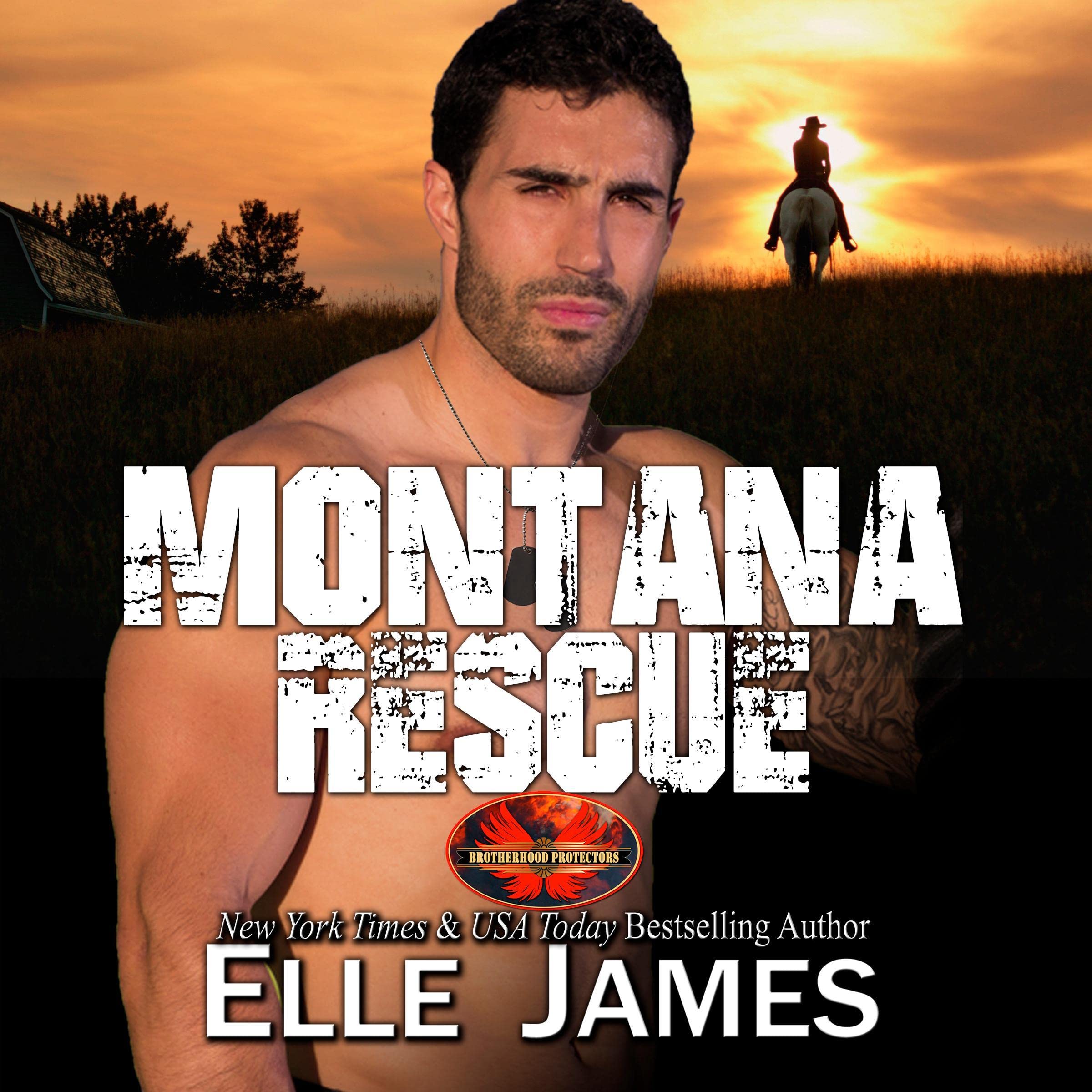 Cover art for Montana Rescue