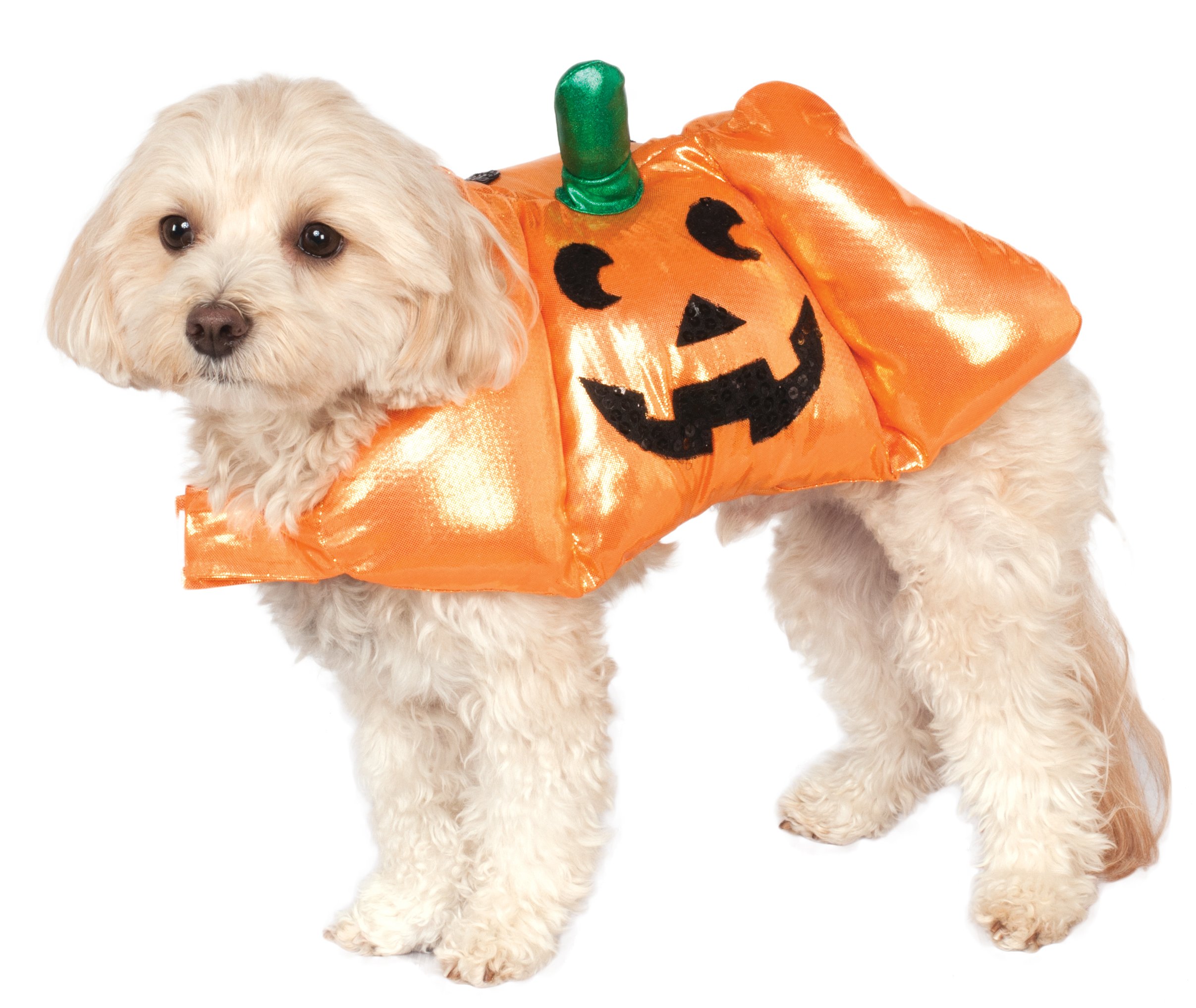 Rubies Costume 580542LXL_L Pup-O-Lantern Pet Harness, Large