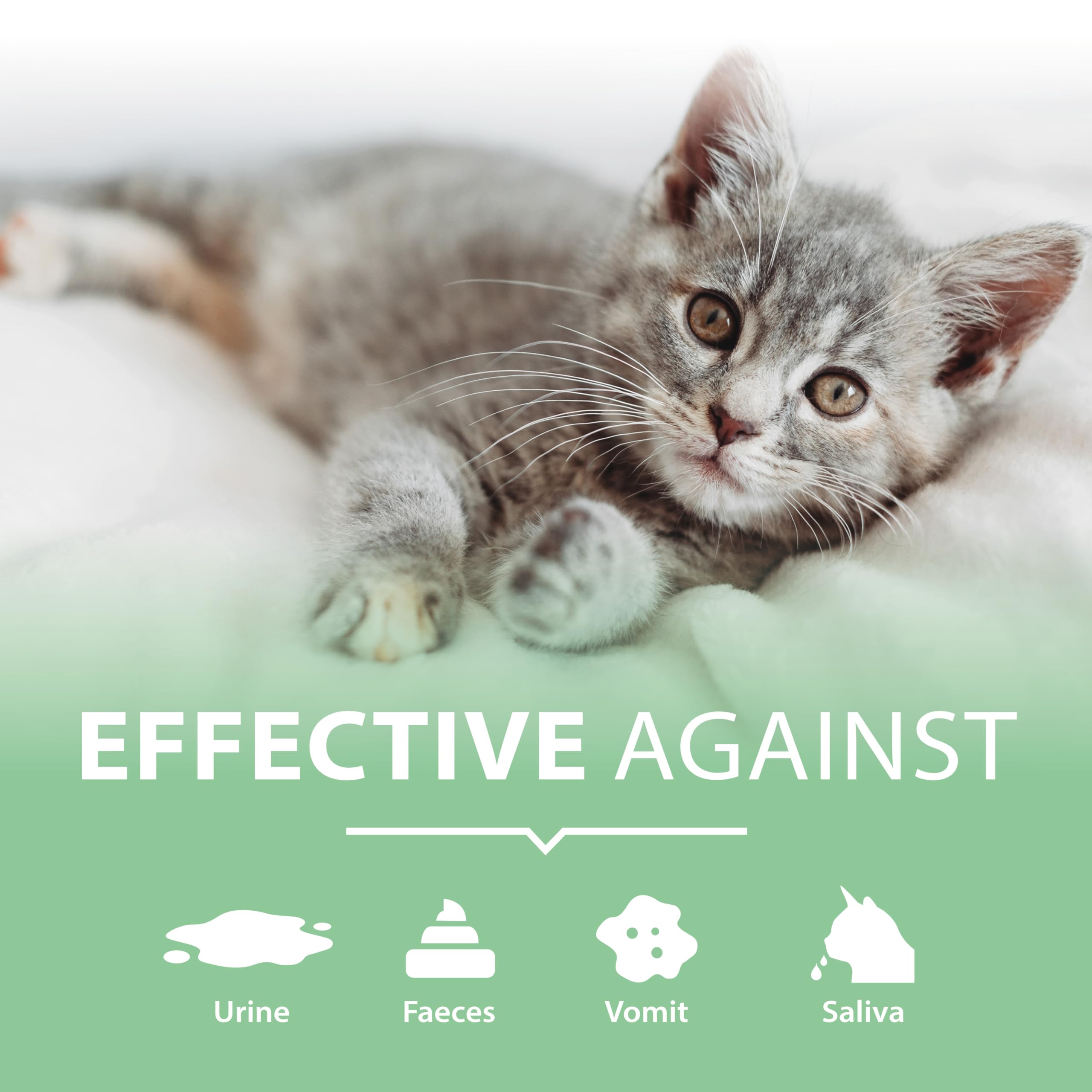 ARKA PIPI-Weg Cat – 100 ml – skuteczny środek do usuwania plam i nieprzyjemnych zapachów, trwale usuwa mocz kota, odchody, wymioty i ślinę na dywanach i tapicerkach.