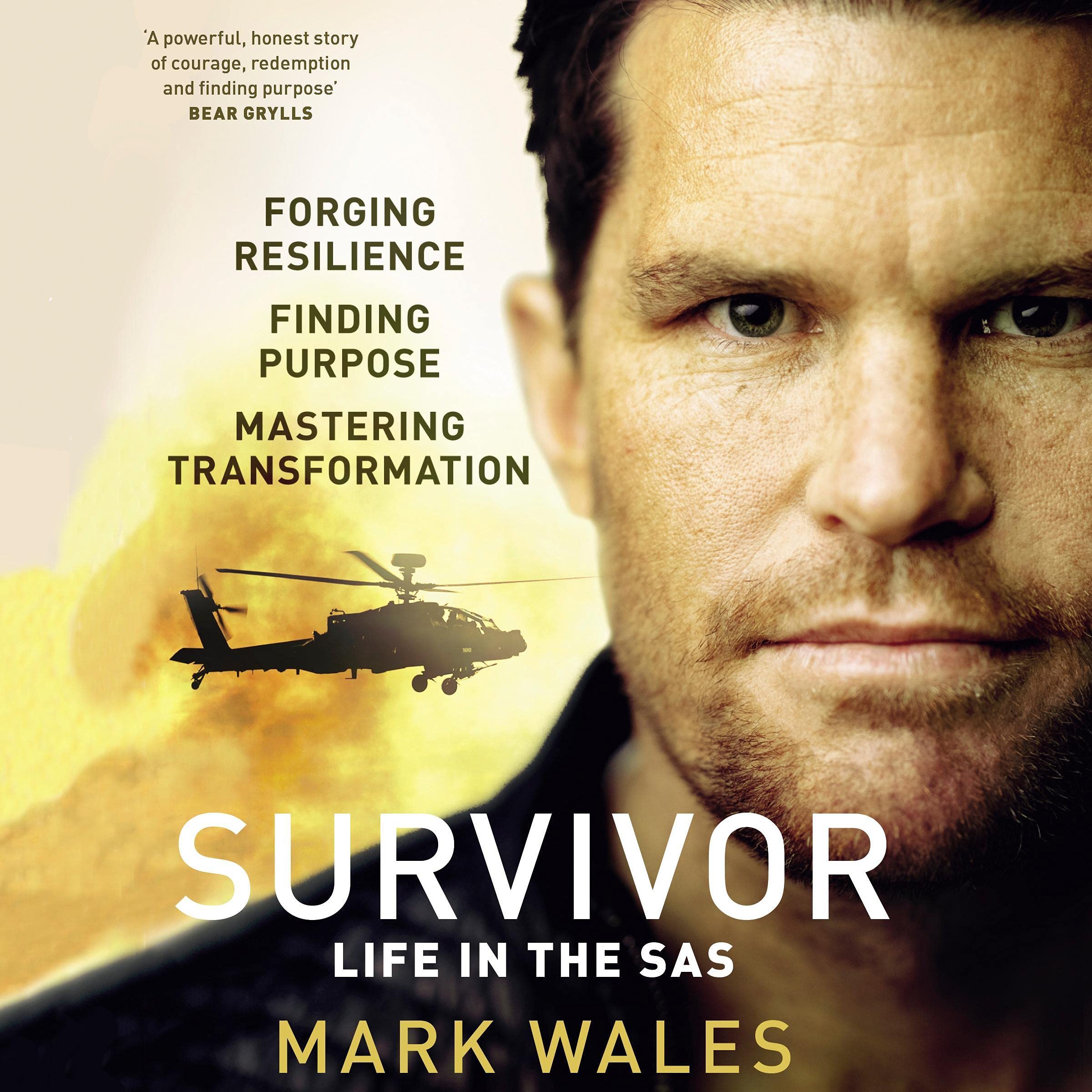 Cover art for Survivor
