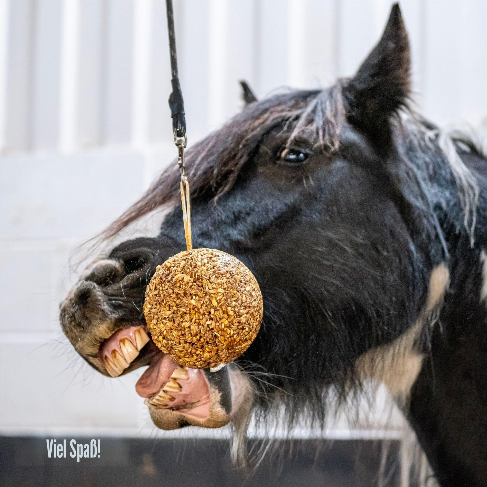 Likit Granola Stallball gemischte Beeren