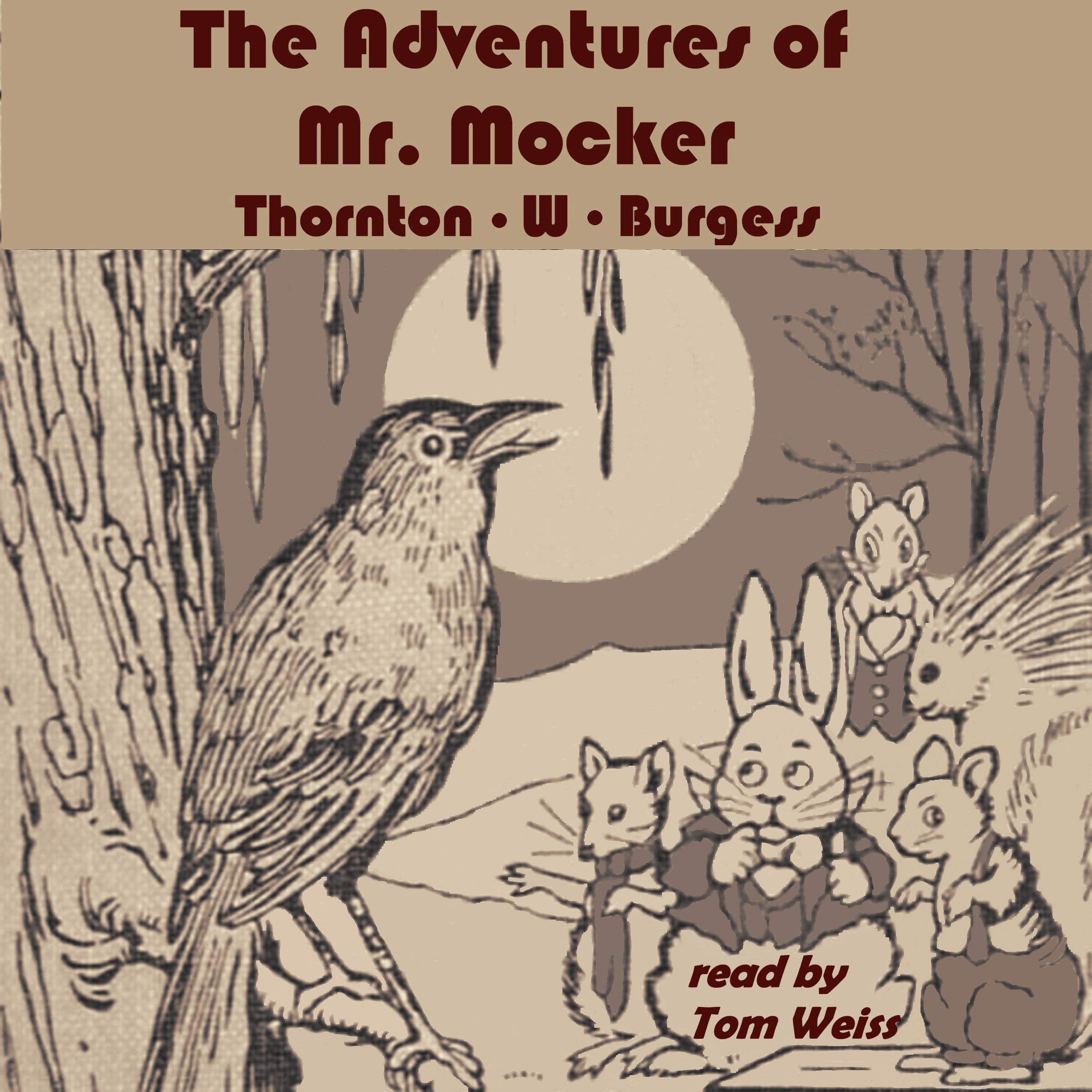 The Adventures of Mr. Mocker