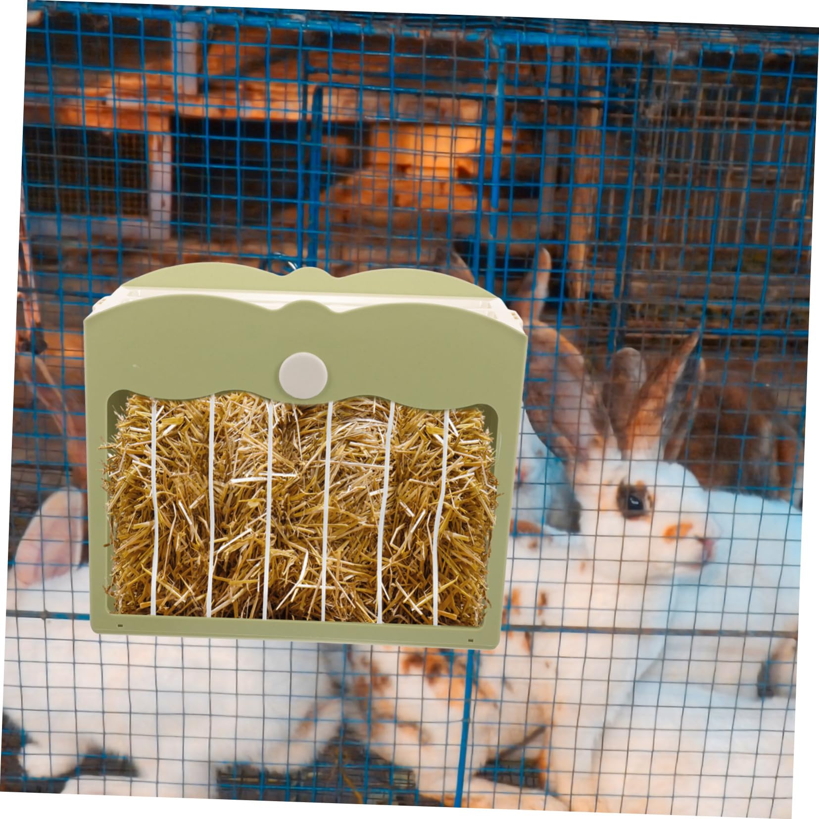 Kaninchen Futterspender Kunststoff Abnehmbar Mit Deckel Grün Futterhalter Für Hamster Meerschweinchen Käfig Zubehör Haustier