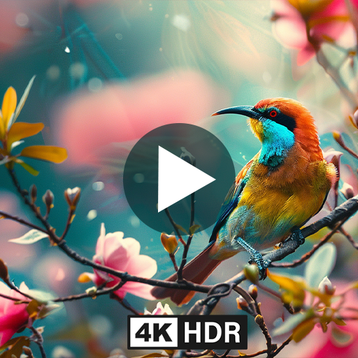 Birds Nature Screensaver HD - Premium Wildlife & Natural Bird Songs ...