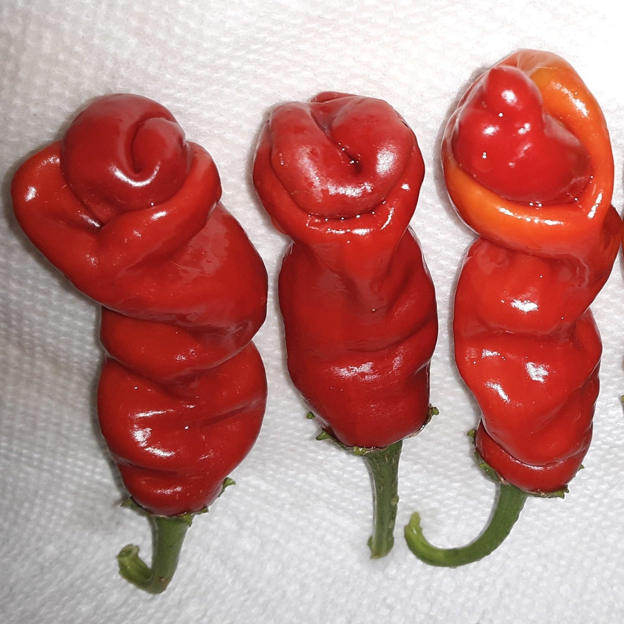 Red Peter Pepper Seeds