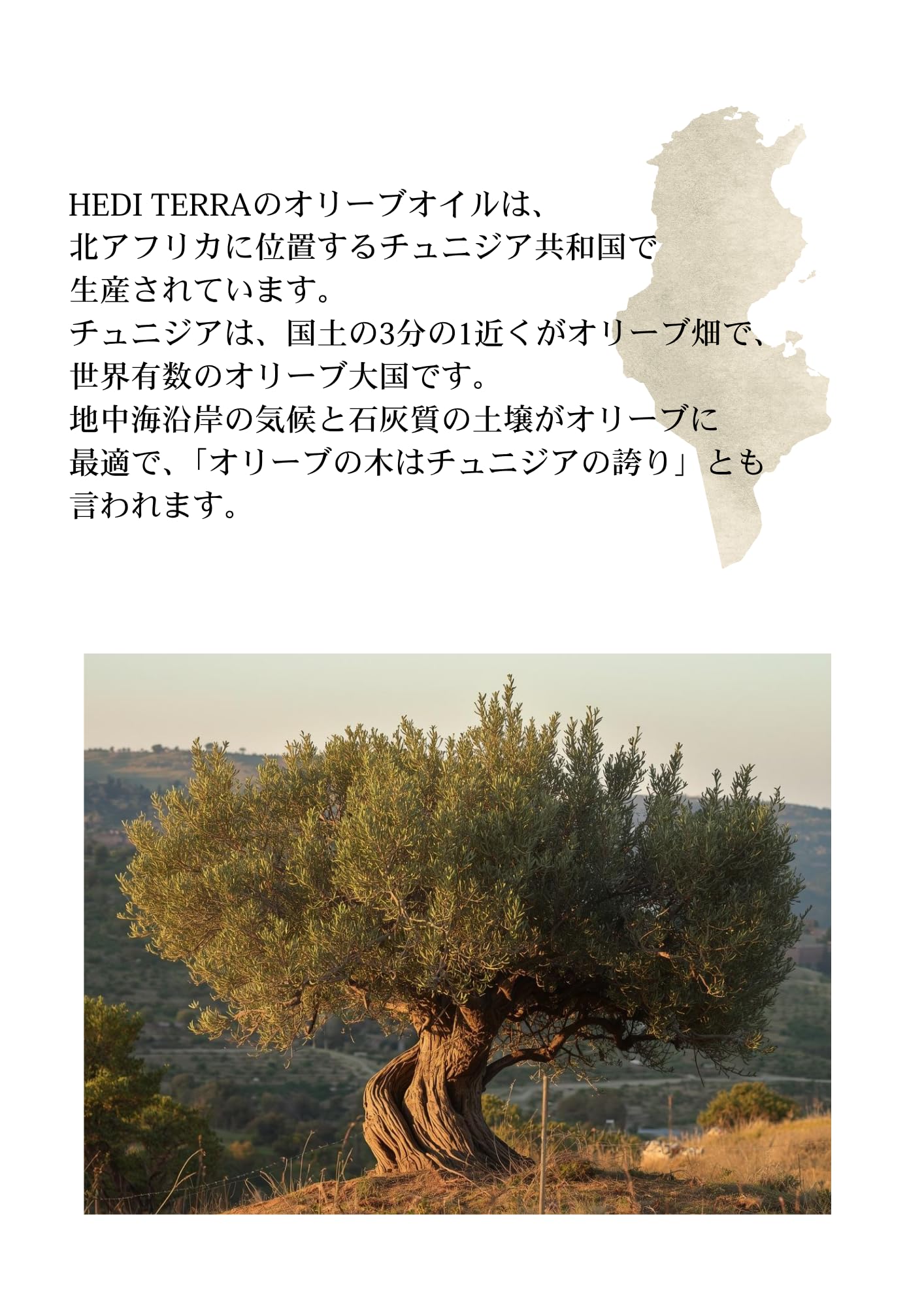 Amazon | HEDI TERRA プレミアムエキストラバージンオリーブオイル