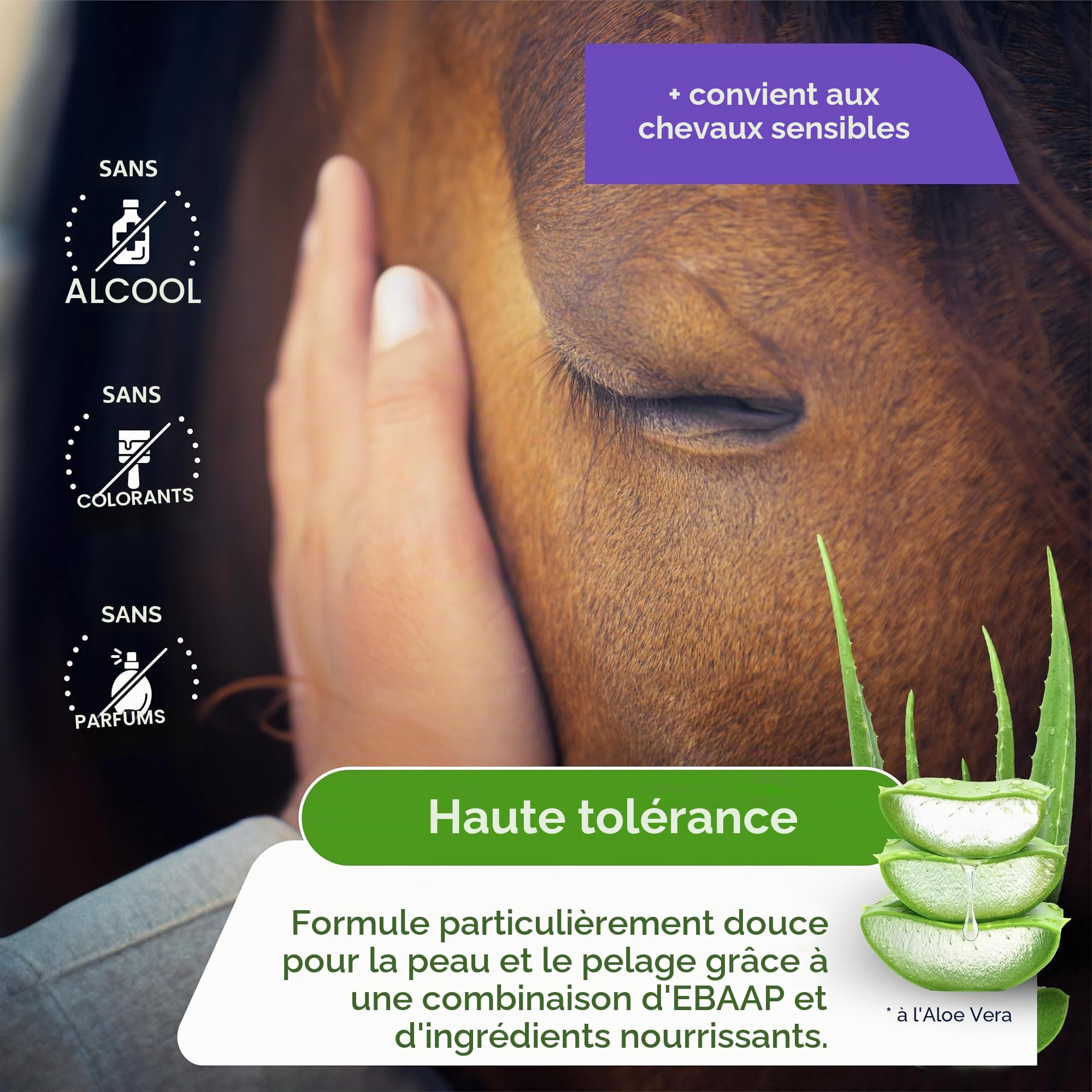 Spray anti-mouches cheval (3 l)