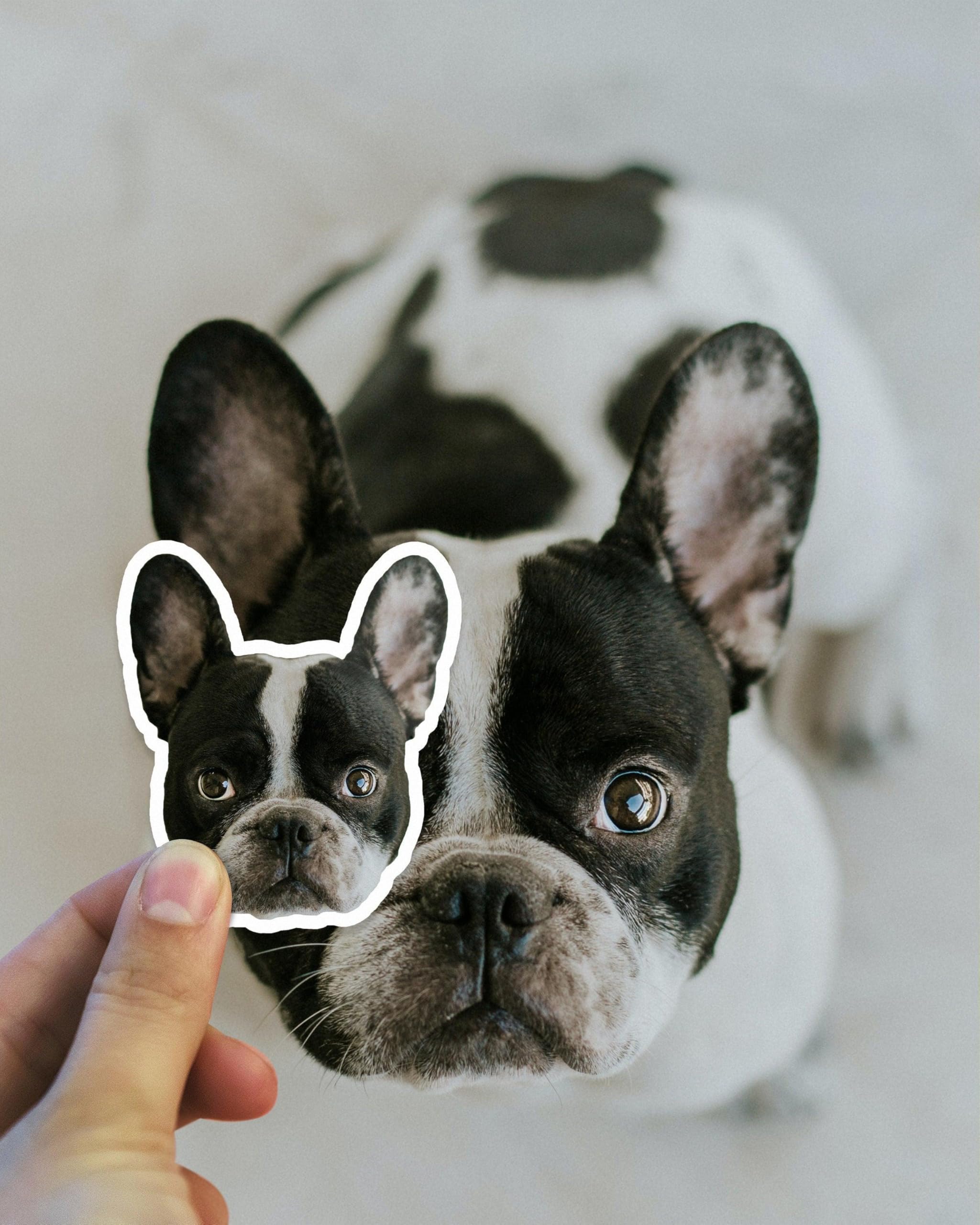 Adesivi rotondi personalizzati - Etichetta personalizzata con logo circolare per aziende 11 x 11/50 pezzi
