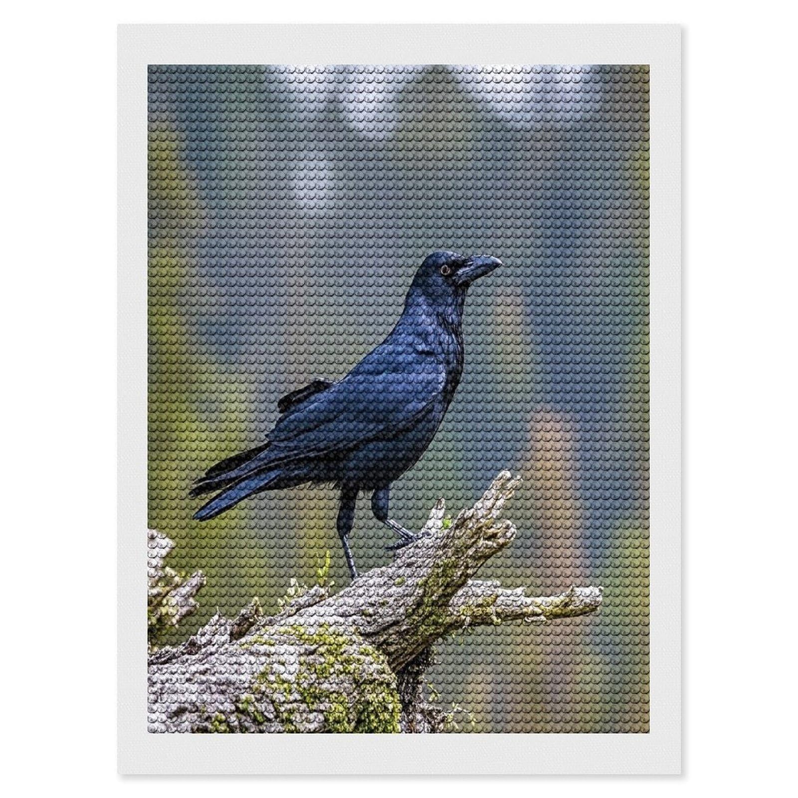 FekiLoot Black Crow Birds Diamond Painting Kits for Adults Round Paint with Diamonds Pictures Gem Art Painting Kits Personalized Diamond Art Full Drill for Beginners Home Wall Decor