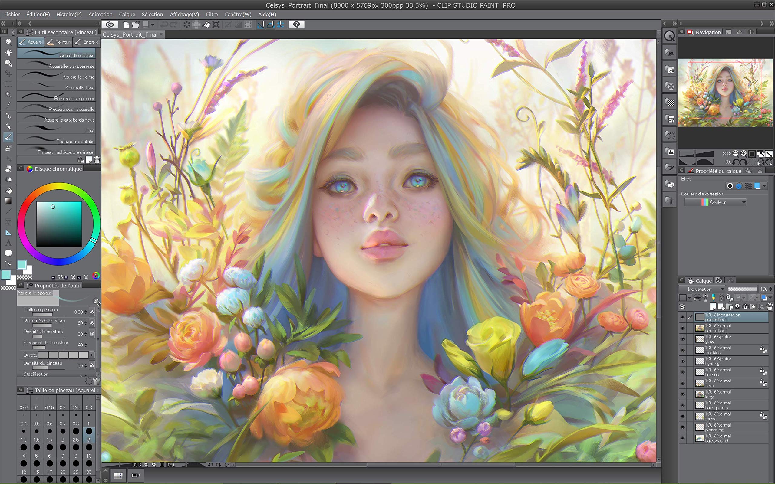 CLIP STUDIO PAINT EX - Version 1 - Licence perpétuelle - pour Windows et MacOS, Édition française