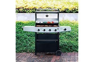 Liquid Propane Gas Grill for the Summer