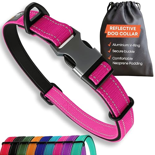 Sweetie Collar para Perros Acolchado Neopreno - Reflectante, Anillo Aluminio Anti-Óxido, Antitirones