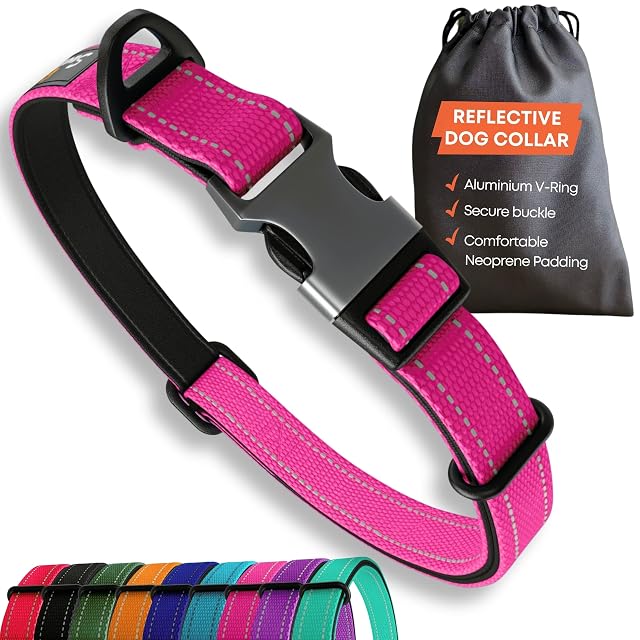 Sweetie Collar para Perros Acolchado Neopreno - Reflectante, Anillo Aluminio Anti-Óxido, Antitirones