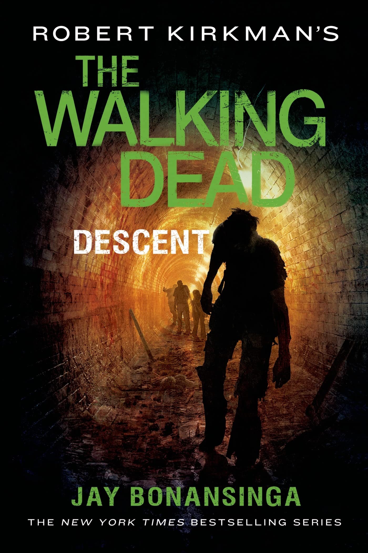 Robert Kirkman's The Walking Dead: Descent (The Walking Dead Series, 5) Paperback – June 2, 2015