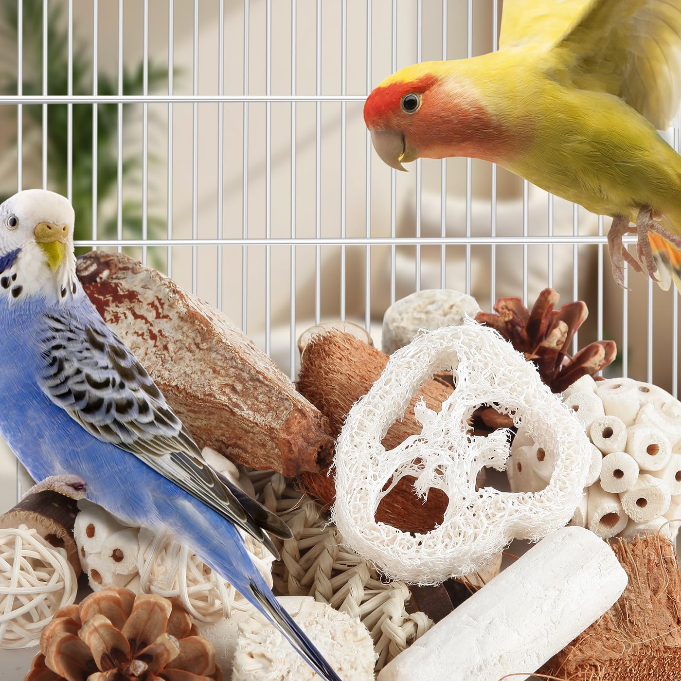 Kyouki Bird Toys Parrot Toys Natural Bird Foraging Box Foot for Parakeets,Cockatiels,Conures,Love Birds,and Other Small to Medium Birds (Medium) - image 5