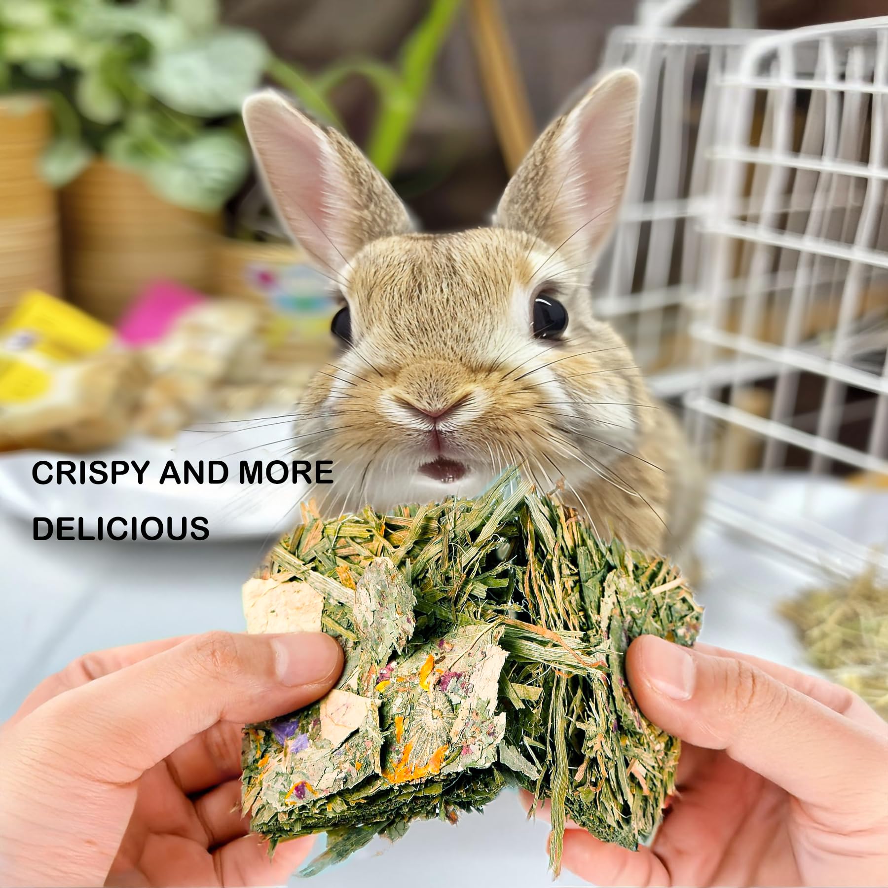 Kaninchenspielzeug, Meerschweinchen, Leckereien, Timothy, Heu-Kauspielzeug, Chips mit Kräuterblumen, Hamster-Snacks, Chinchillas, Rennmäuse für Zähne, Apfelstöcke, süßer Bambus, 24 Stück