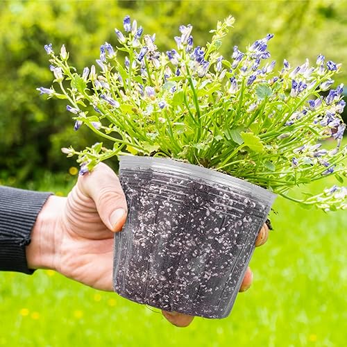 Miniatura 5 de ELCOHO Paquete de 60 macetas de plástico transparente suave de 6.76543 pulgadas, macetas de inicio de semillas, macetas con agujero de drenaje,