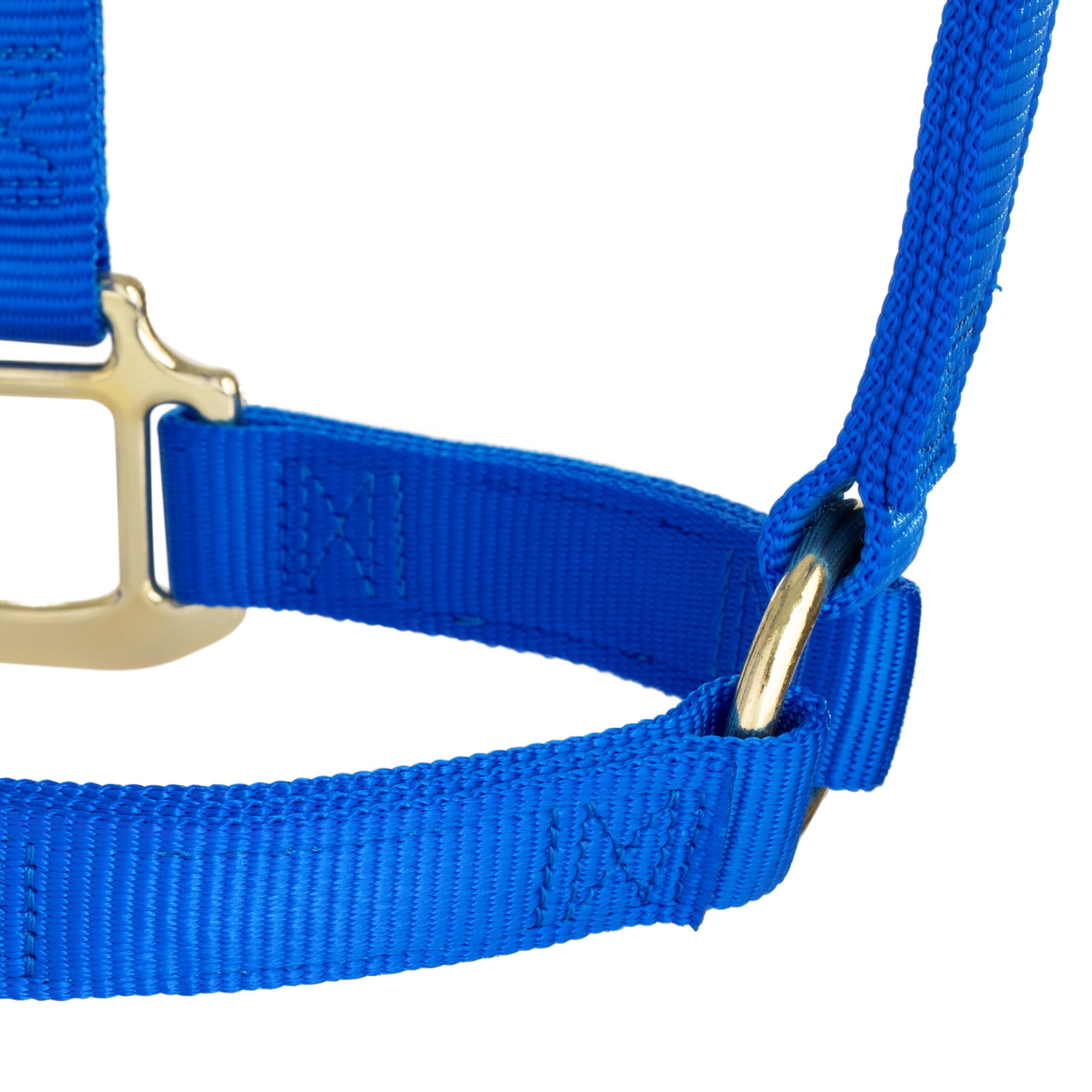Weaver Leather Original - Cabestro no Ajustable, 35-7004-BL, Azul, S Horse