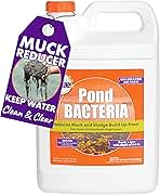 PondWorx Pond Bacteria - Formulated for Large Ponds, Water Features and Safe for Koi - Gallon