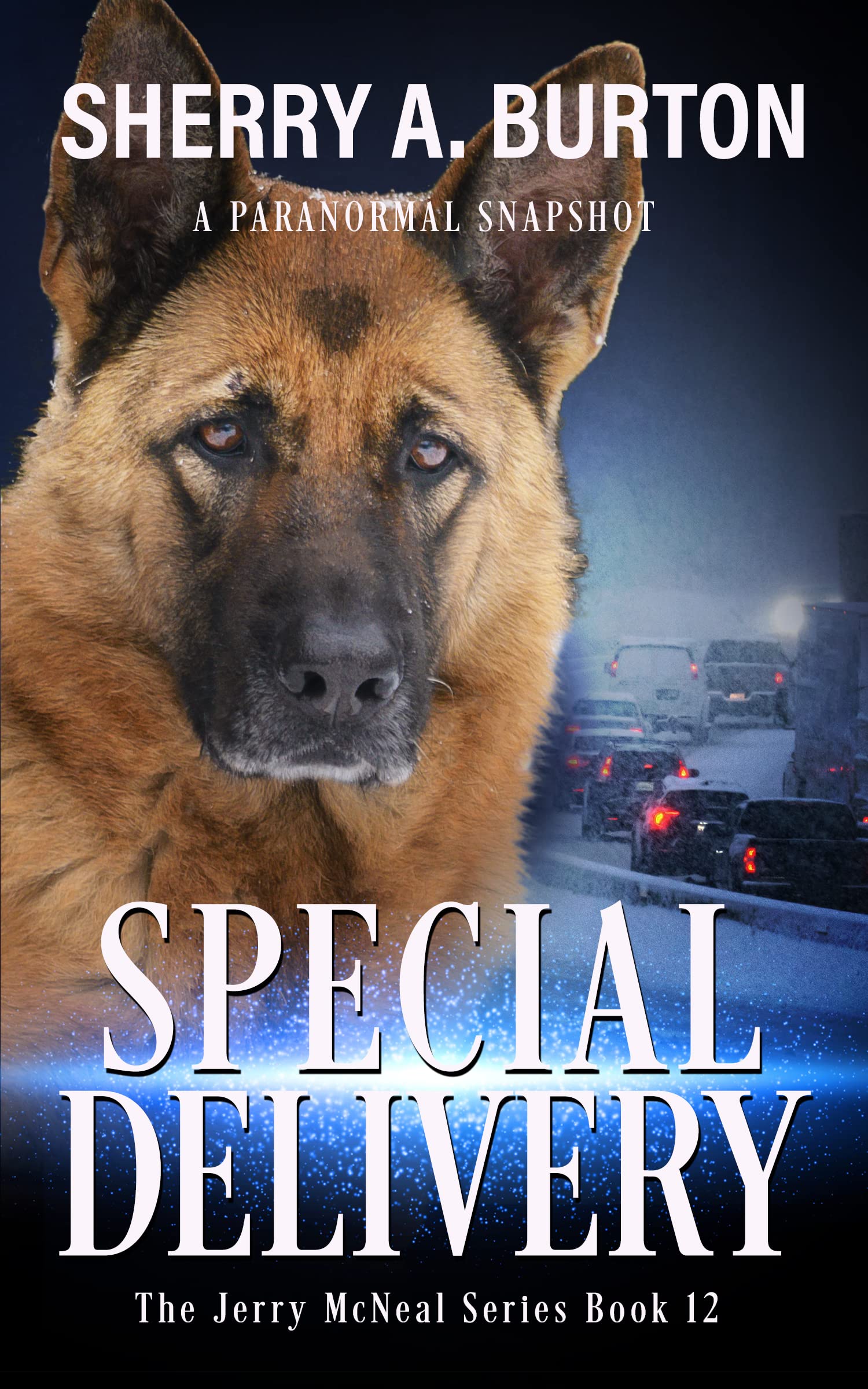Special Delivery: The Jerry McNeal Series, Book 12