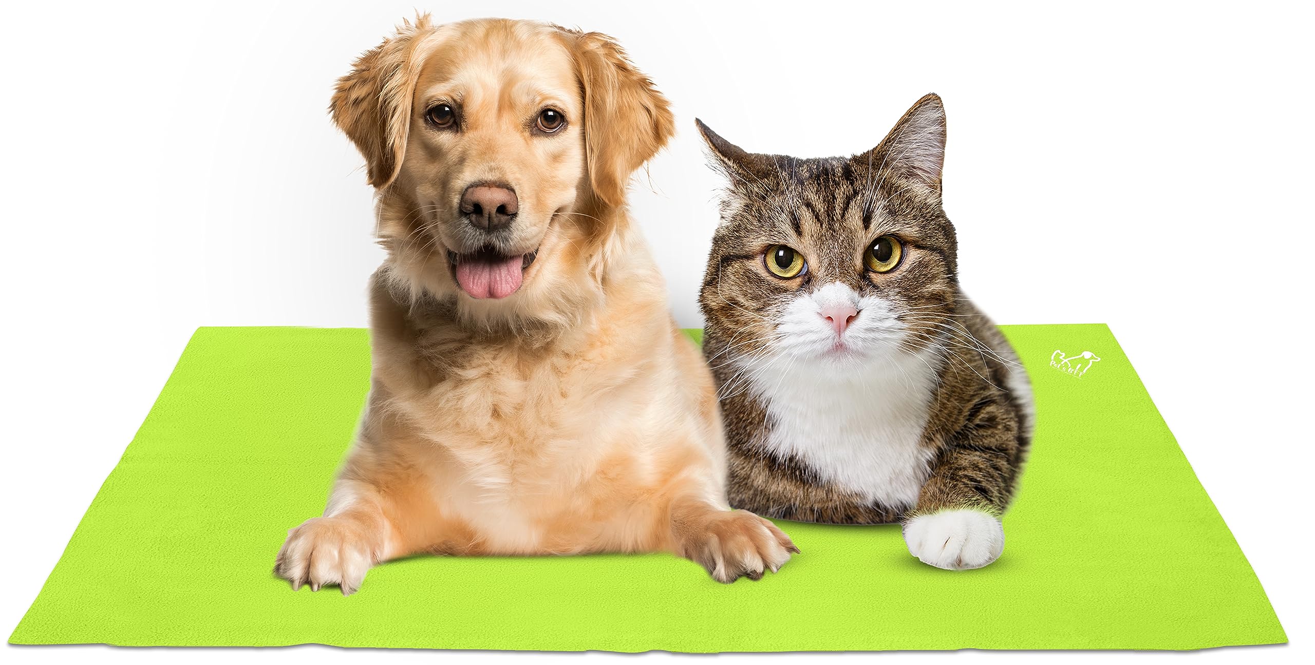 Pets BFF Waterproof Reusable Washable Pee Pads & Hygenic Pet Dry Sheet - Couch/Sofa/Bed/Mattress, Puppy Training & Car Seats Protector for Dogs, Cats & All Pets – Pista Green, Large (B0BNG8BN4D) Amazon Price History, Amazon Price Tracker