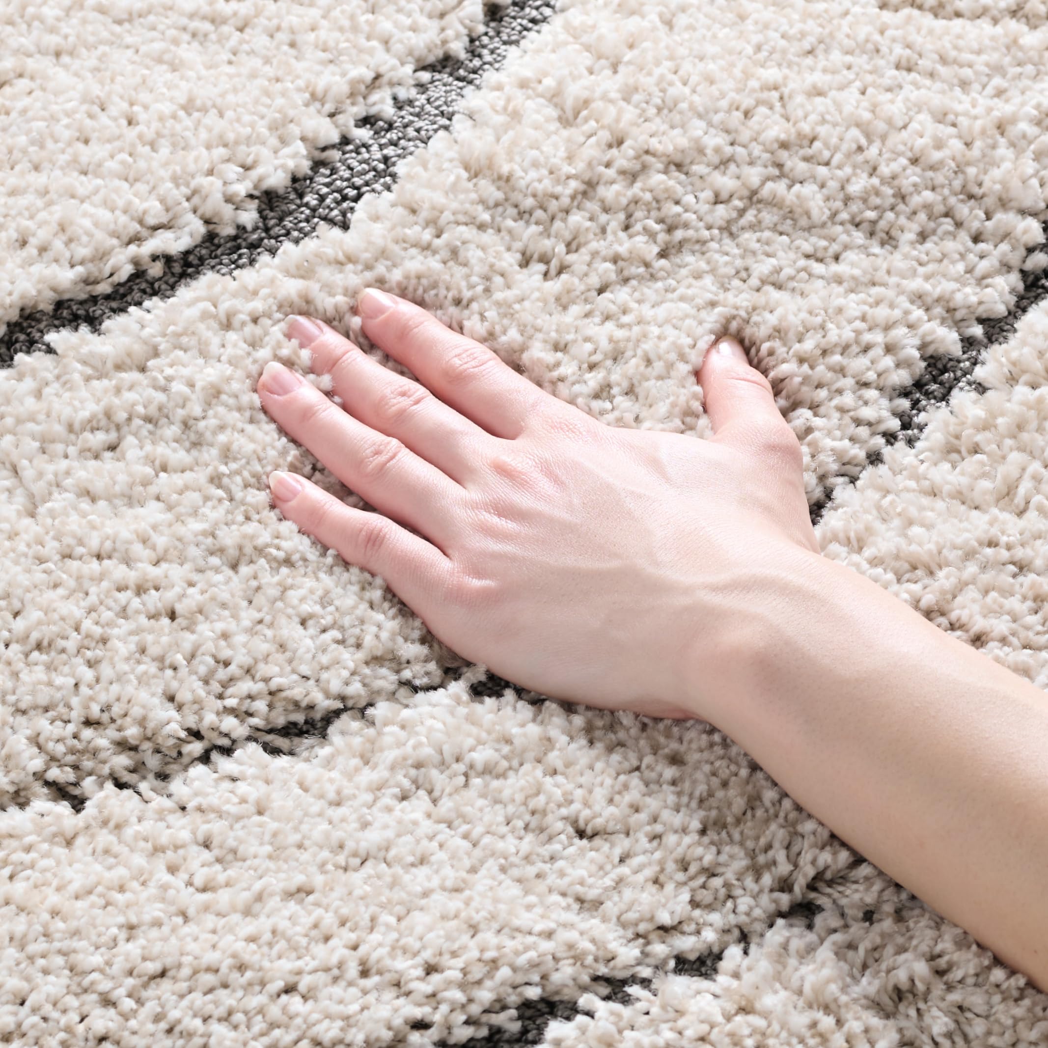 AURAGE Rich Formula 2本セット Amazon.com: SAFAVIEH Area Rug 8x10 - Florida Shag Collection