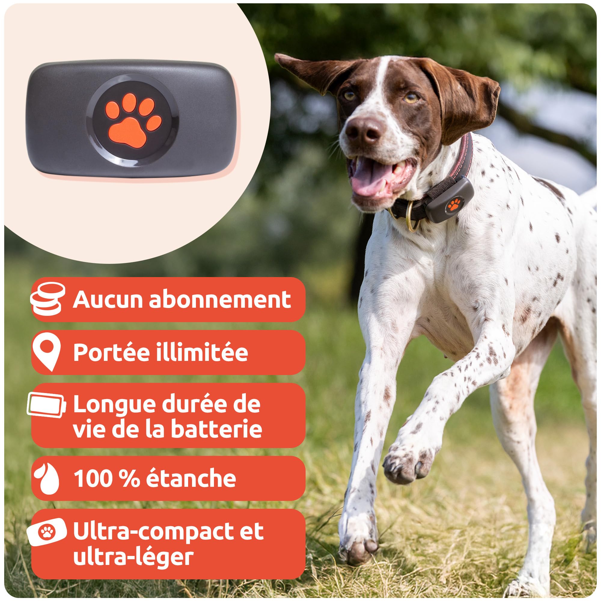 PitPat Traceur GPS pour Chien - Convient à Tous Les Chiens et se Fixe au Collier