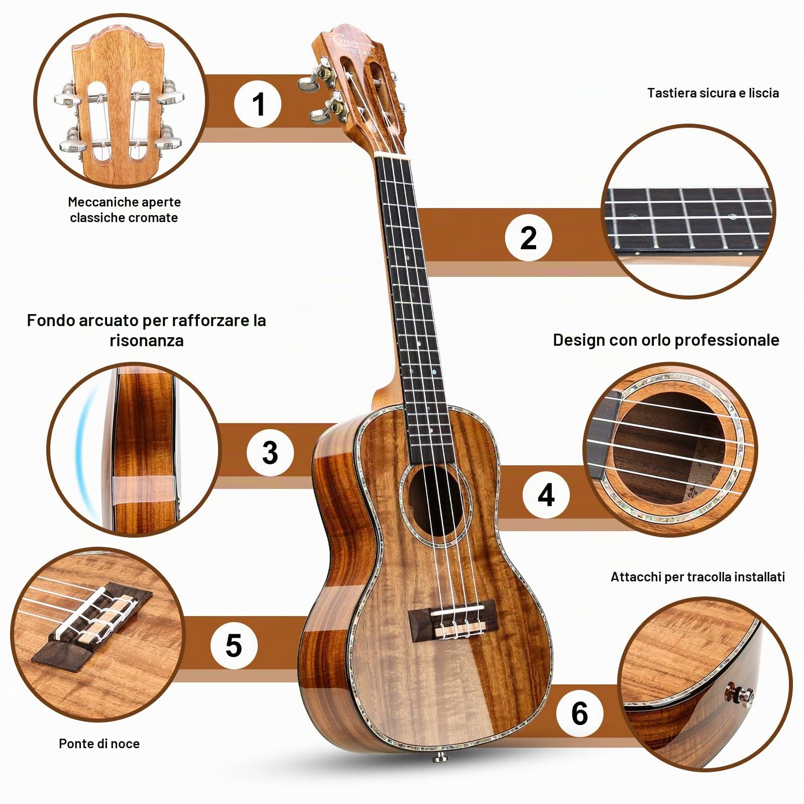 23" Ukulele da concerto professionale per principianti adulti (23 polici Acacia)