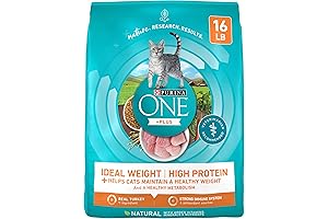 Purina ONE: Nutrition Tailored to Your Cat's Unique Needs
